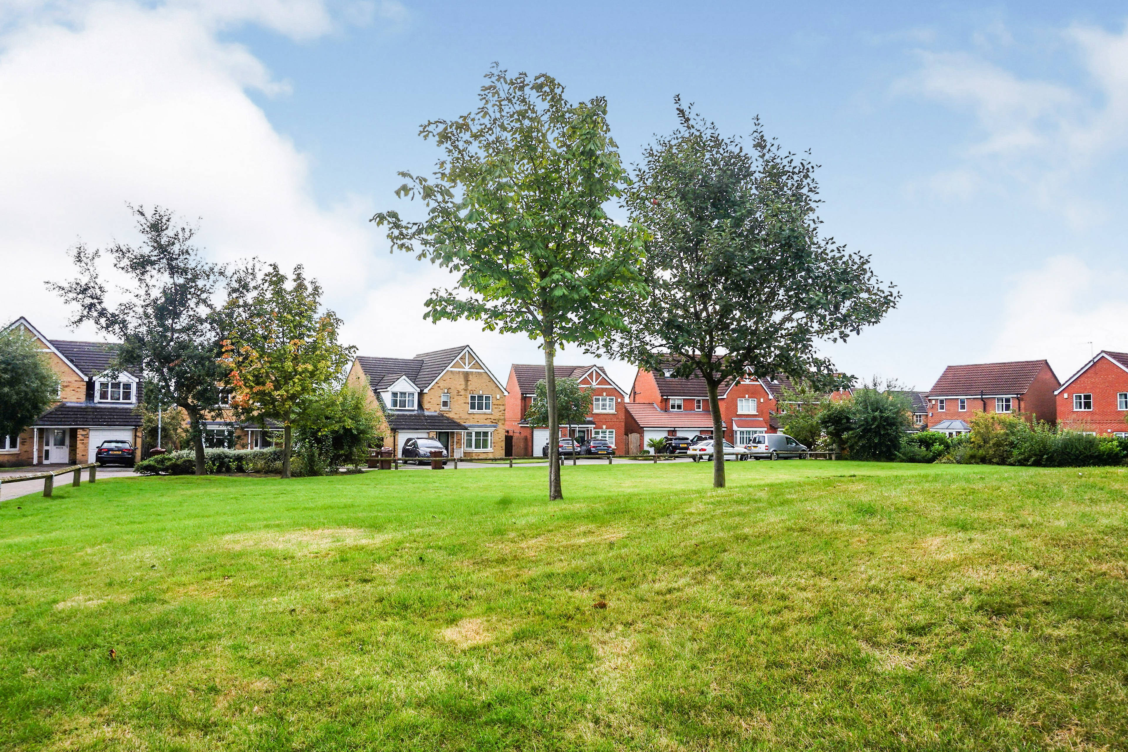 Surrounding Area