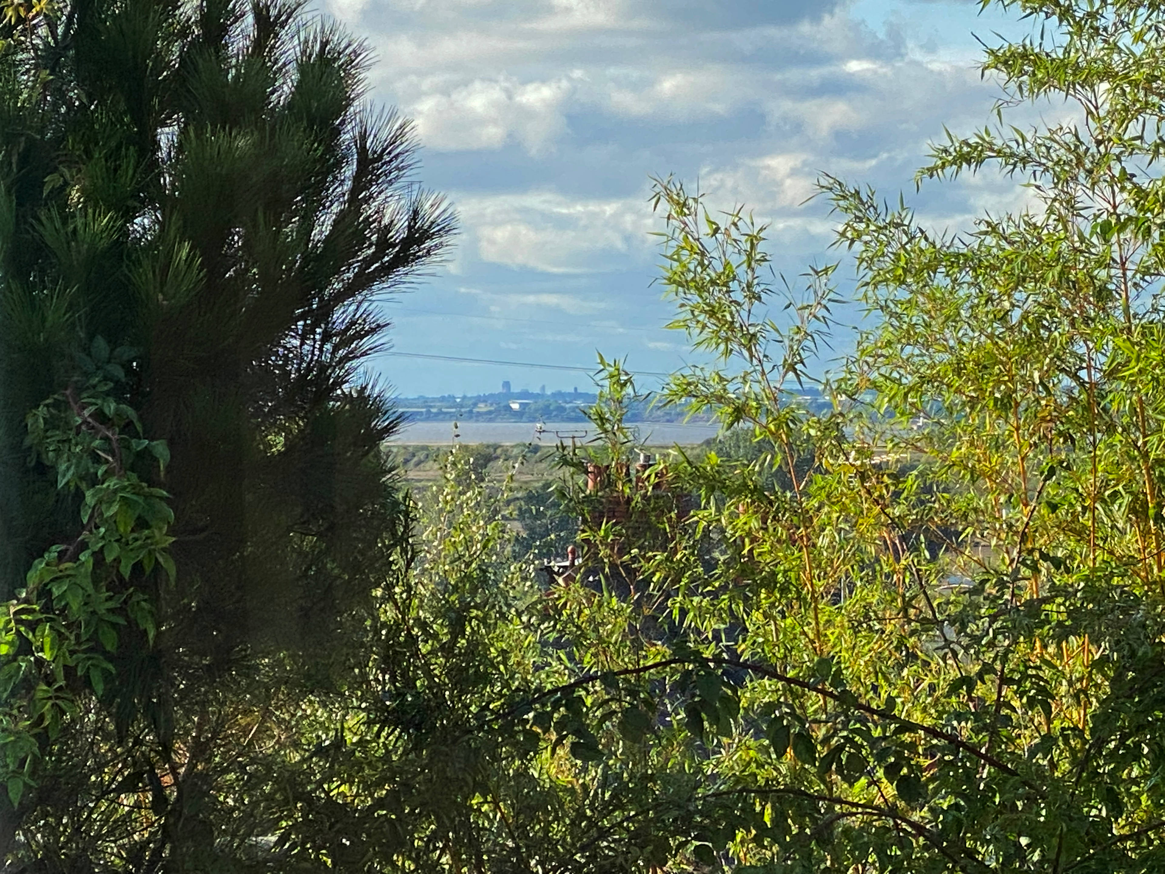 View
