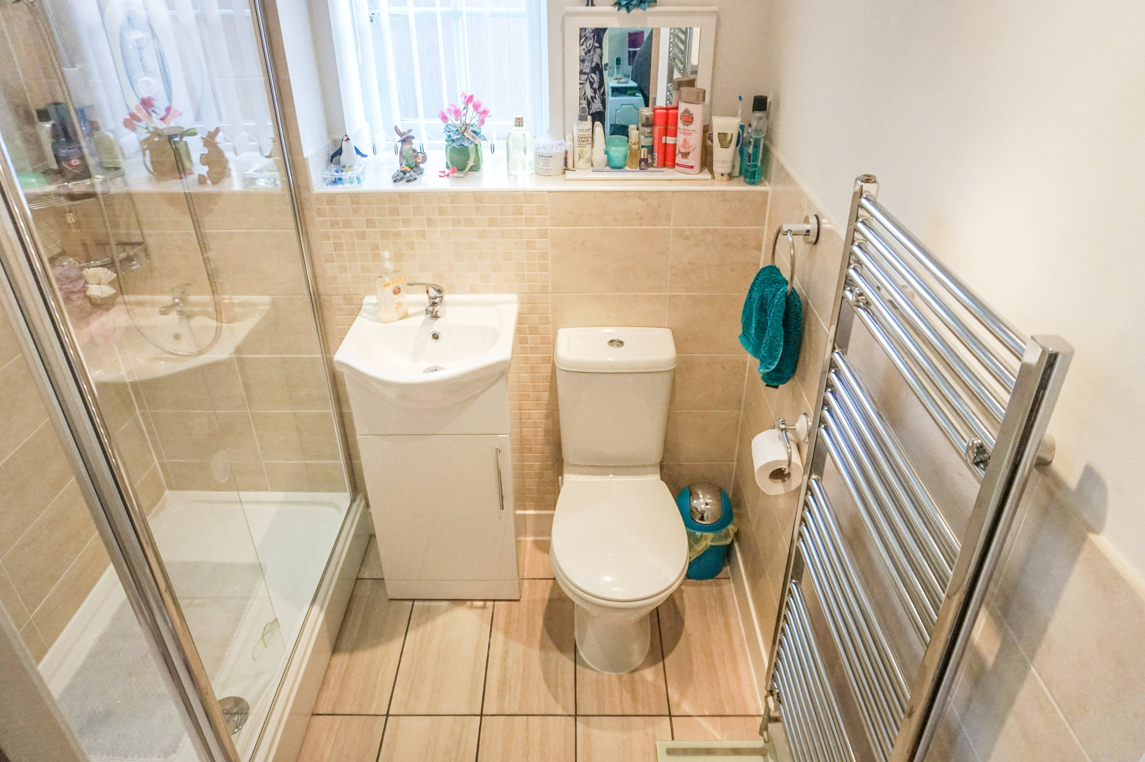 Shower Room