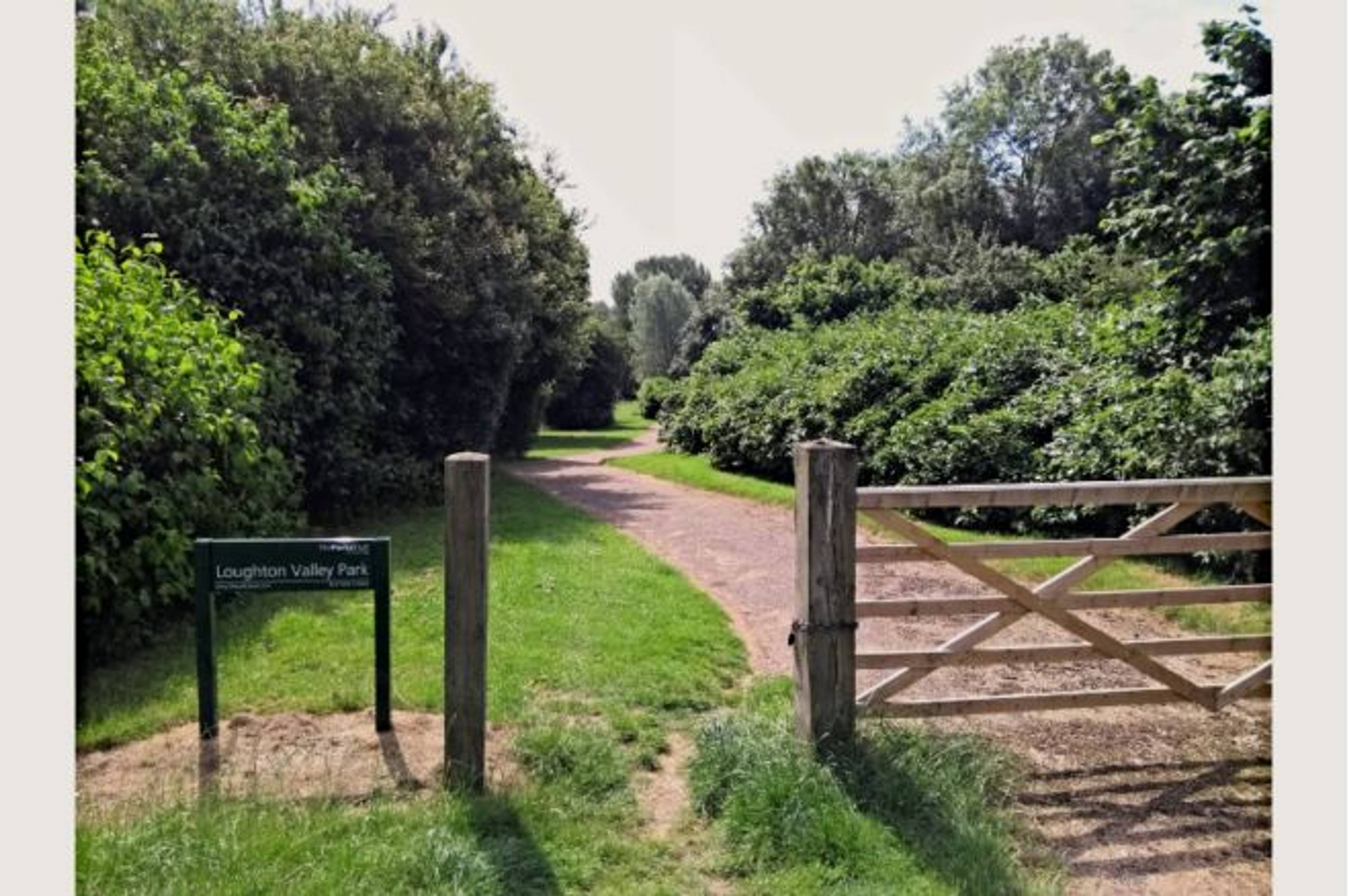 The Park