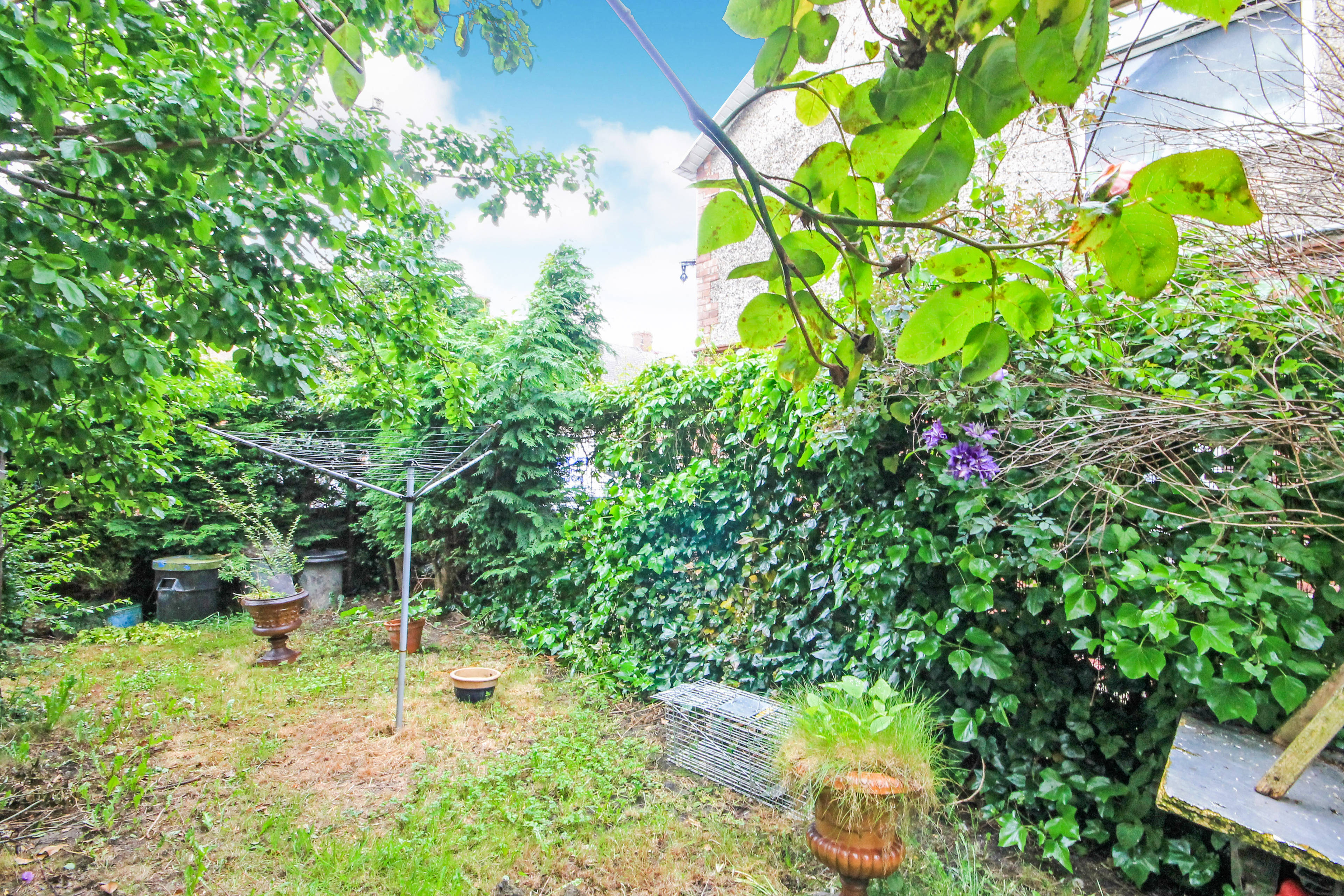 garden