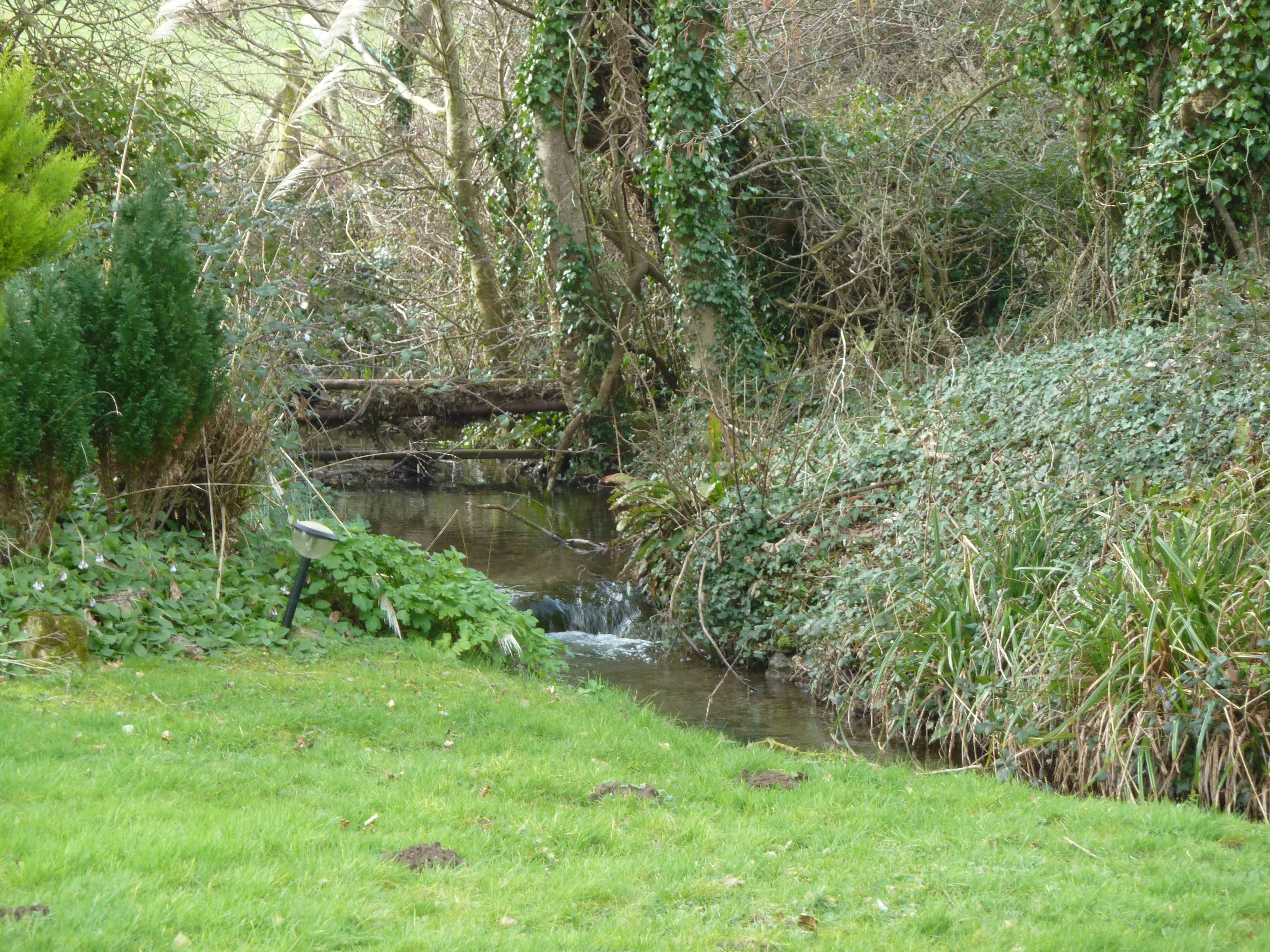 Nearby River
