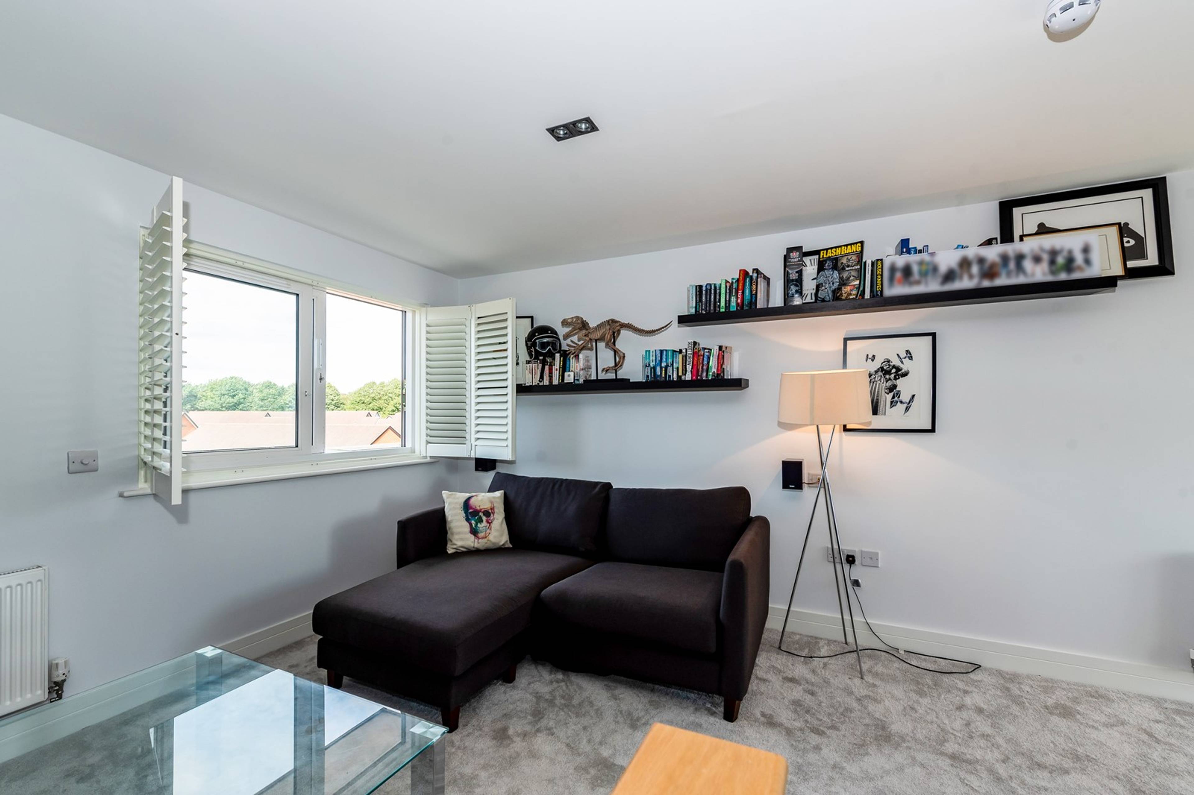 Bedroom/Lounge