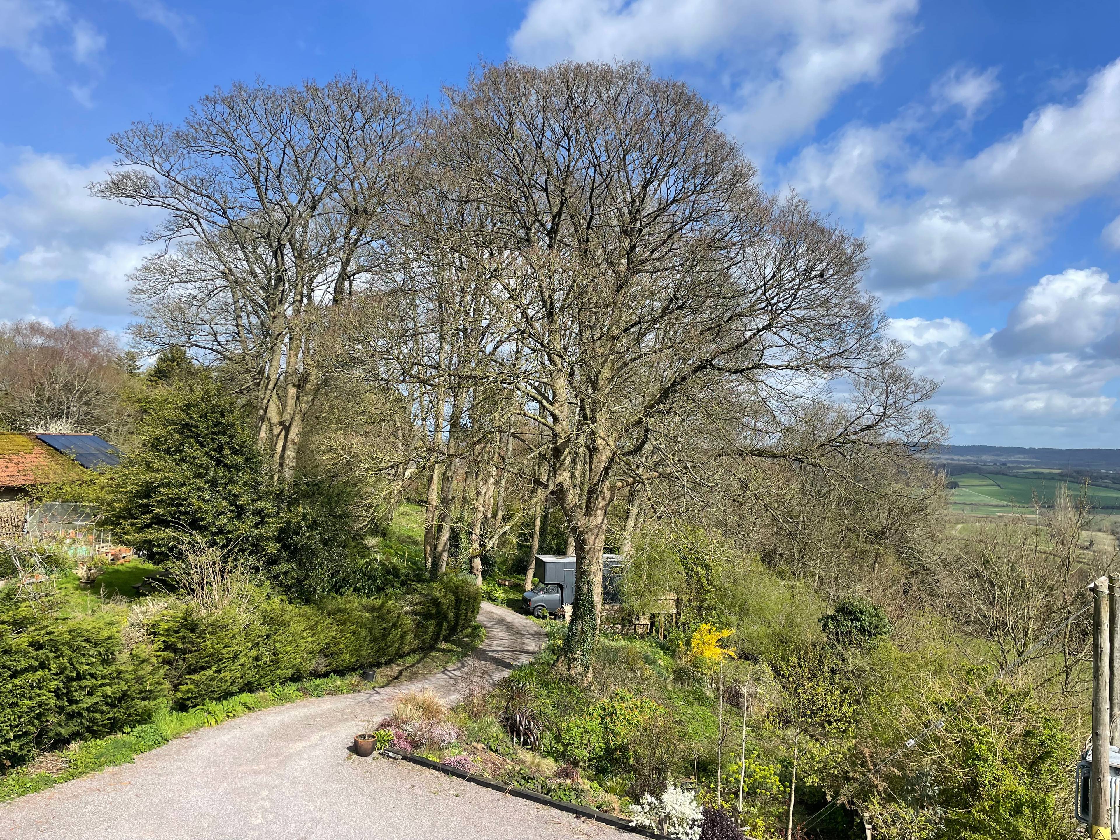 Driveway