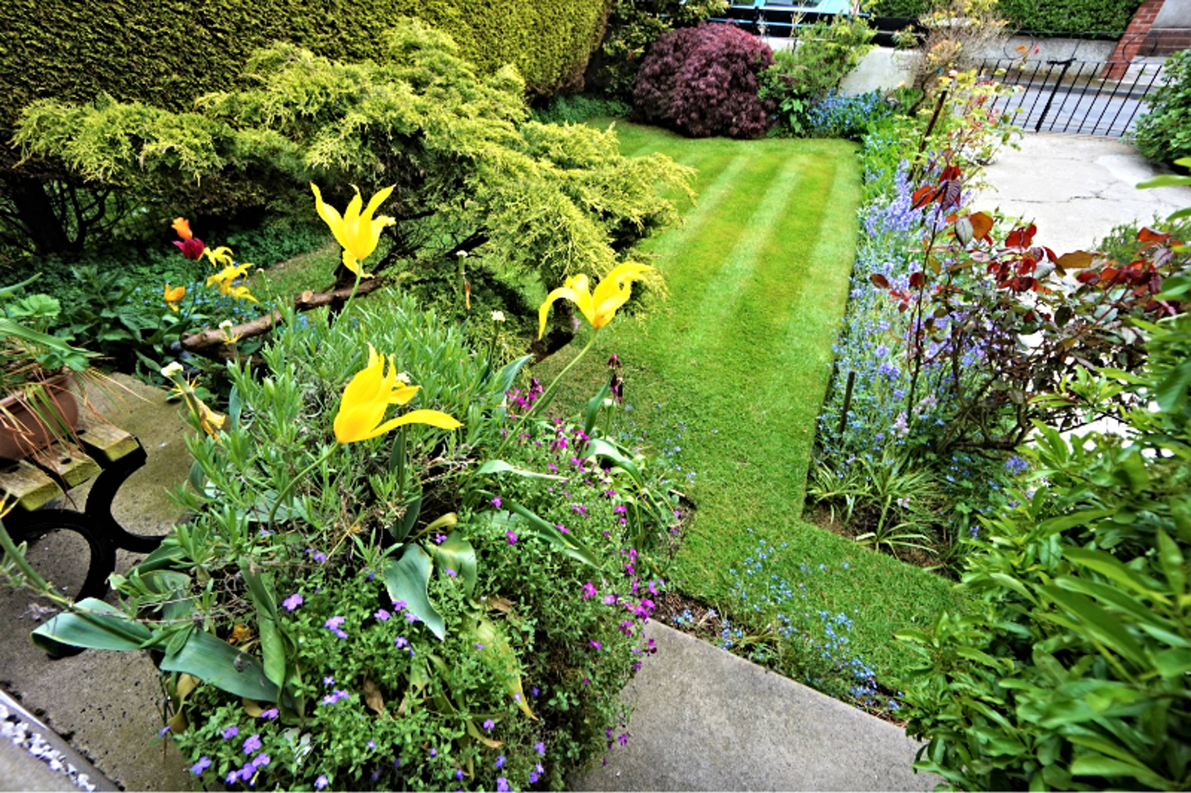 Front Garden
