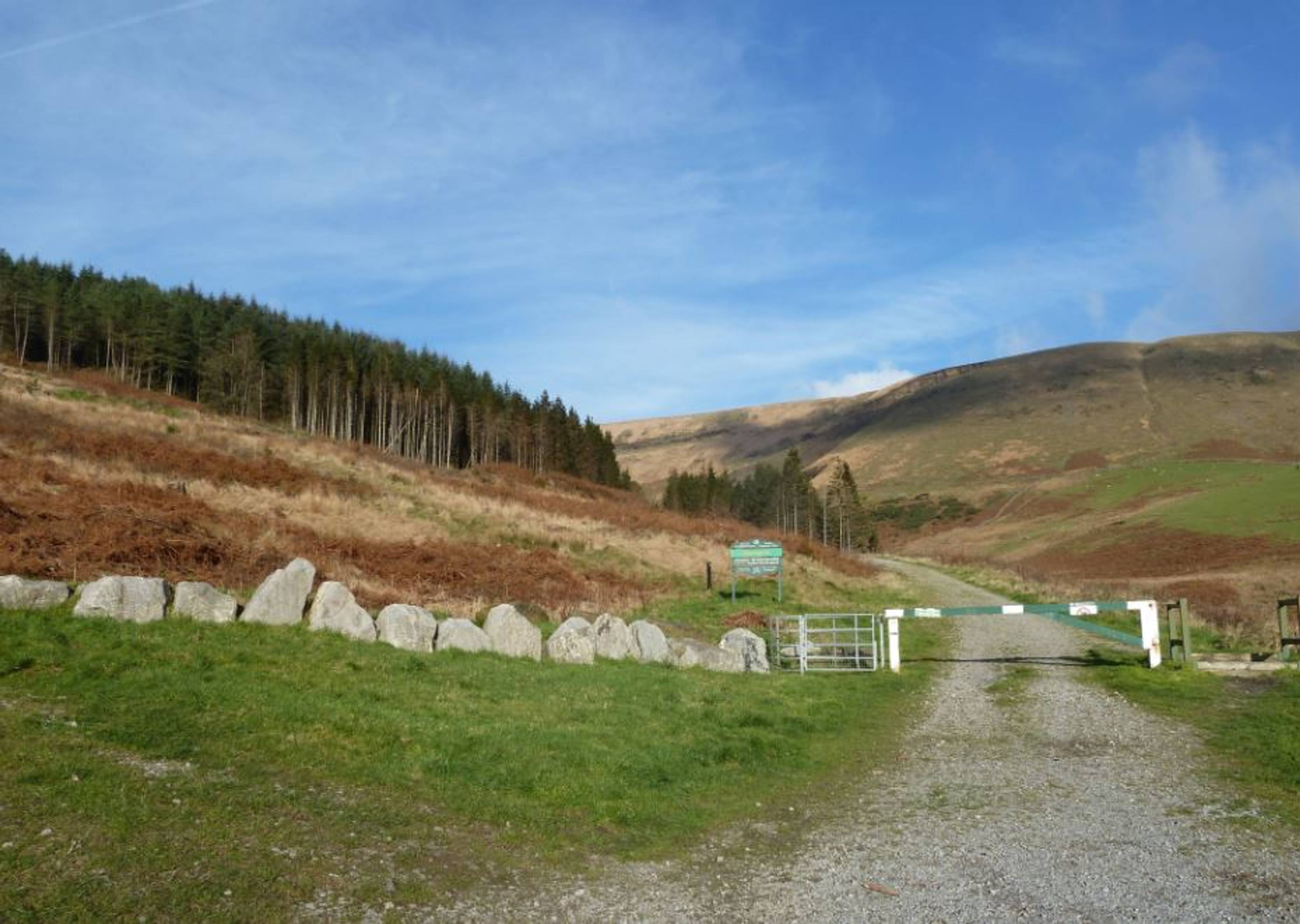 Local Area Three