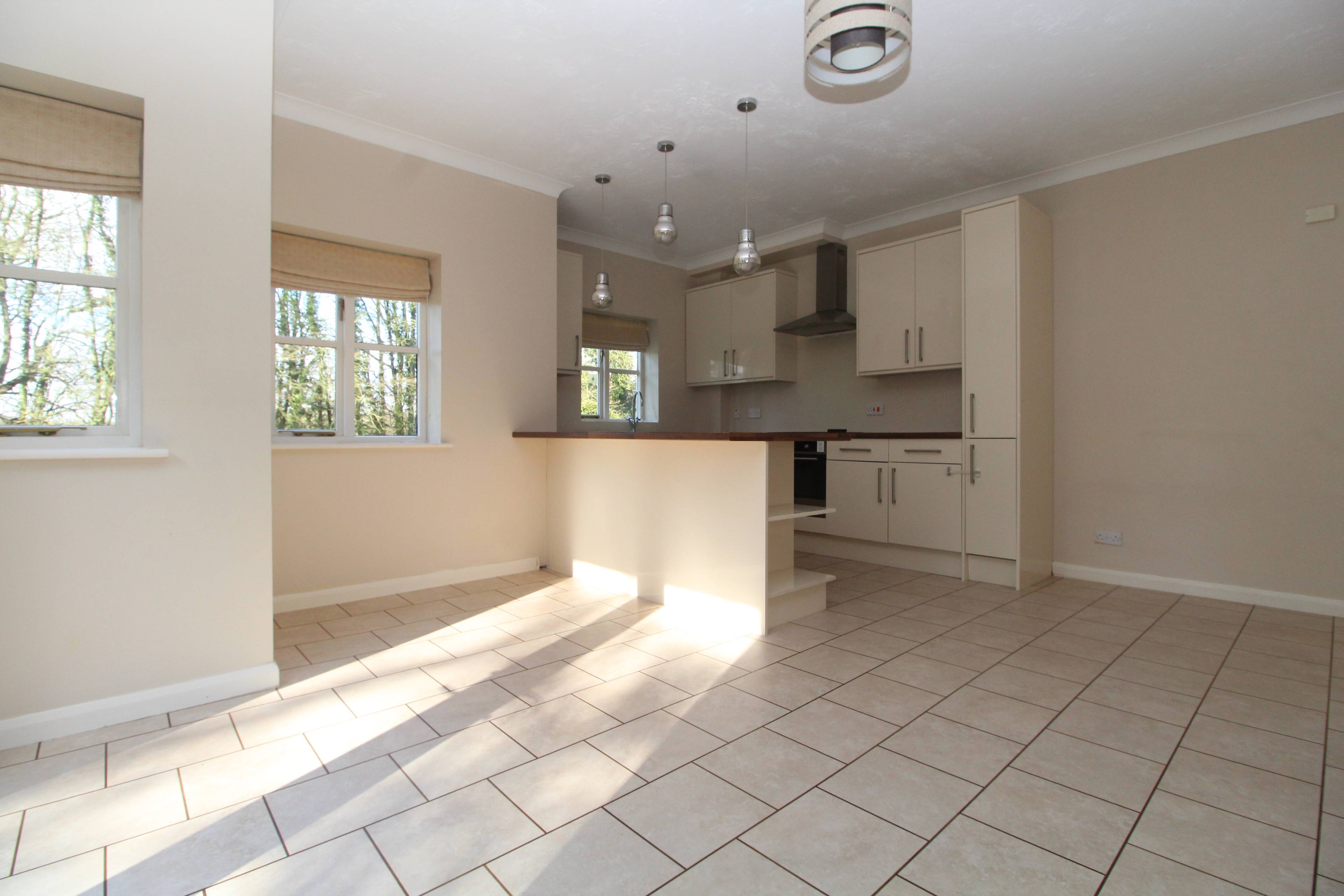 Lounge / Kitchen