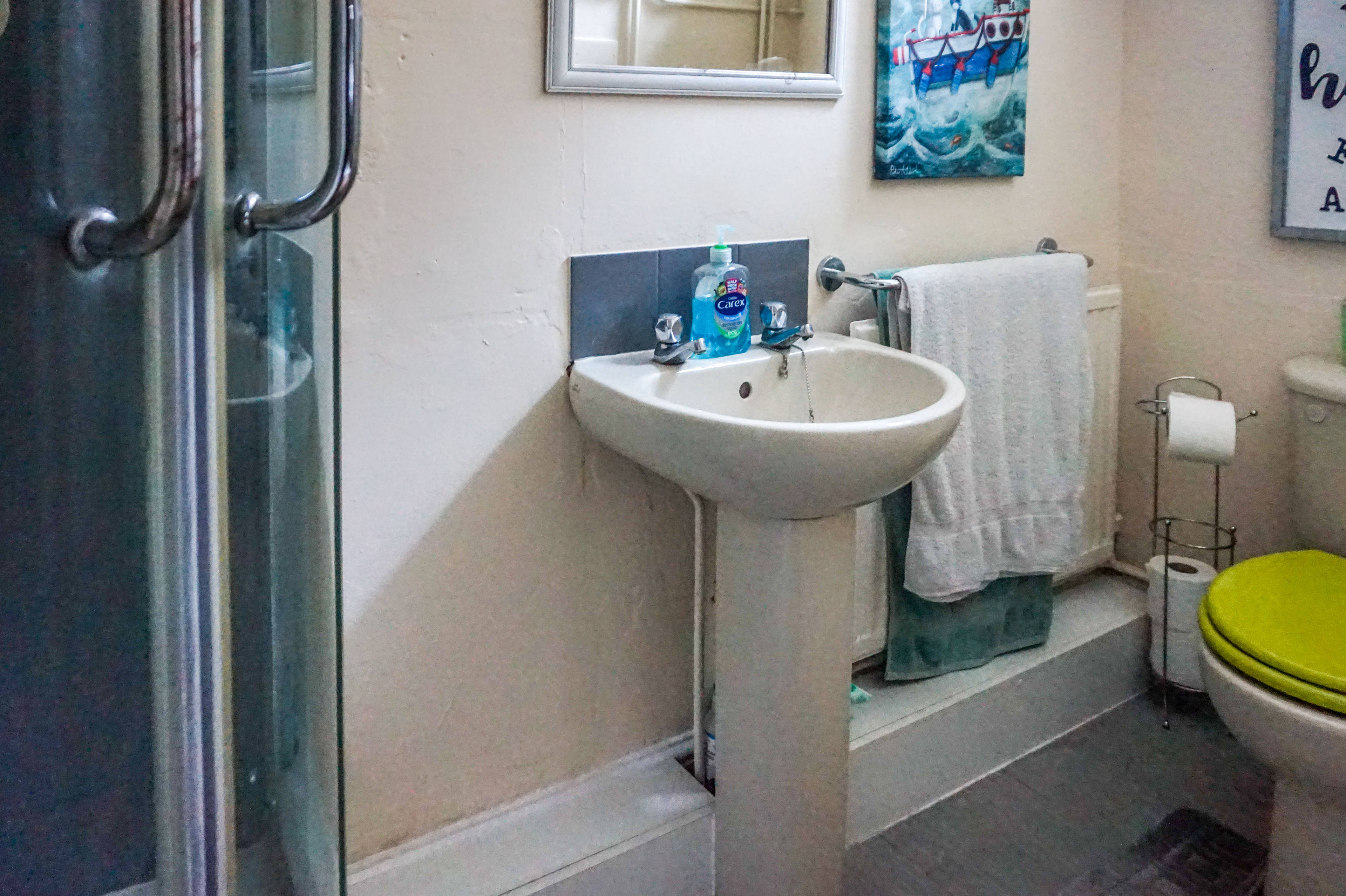 Downstairs Shower