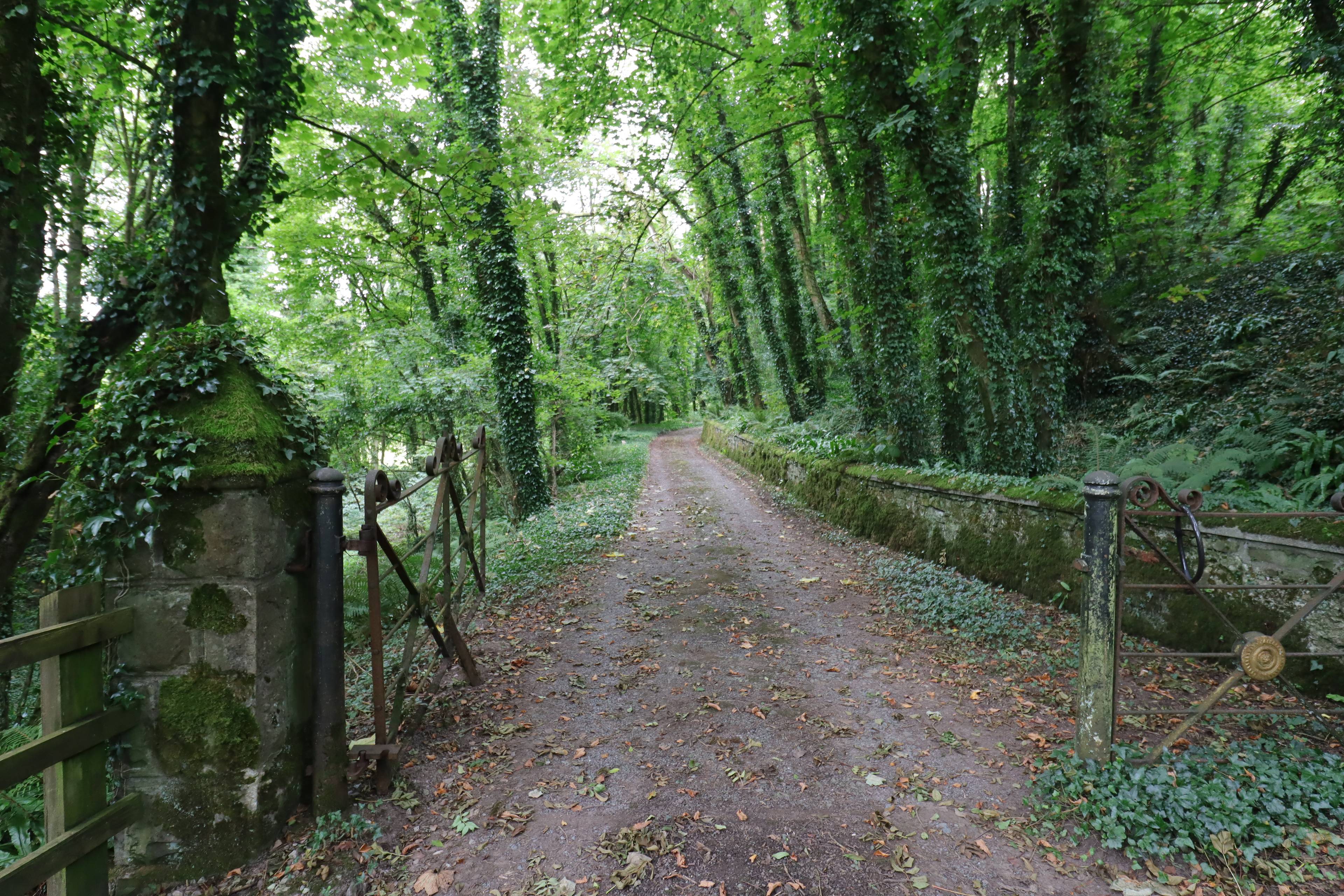 Gated Driveway