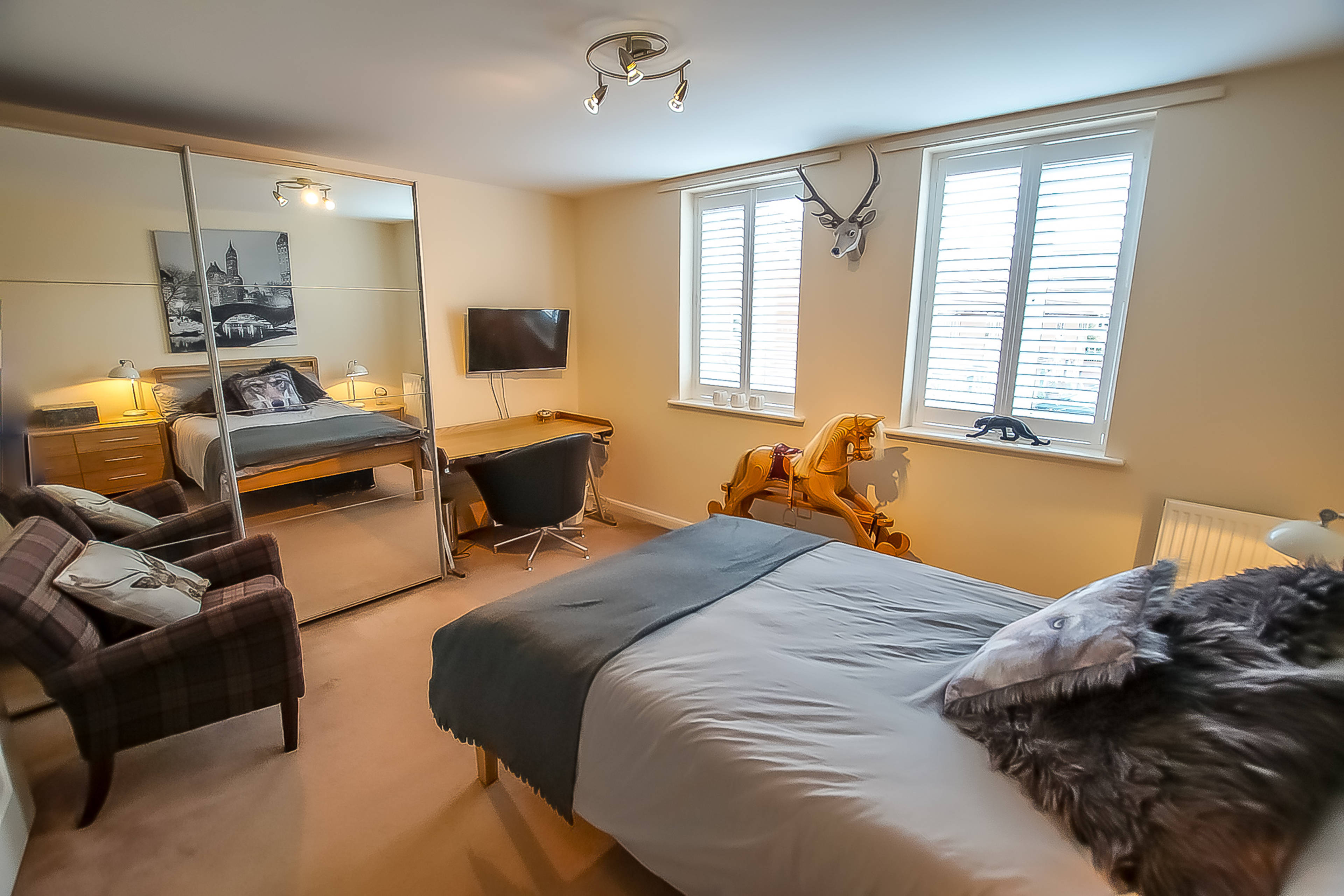 Living Room/Bedroom