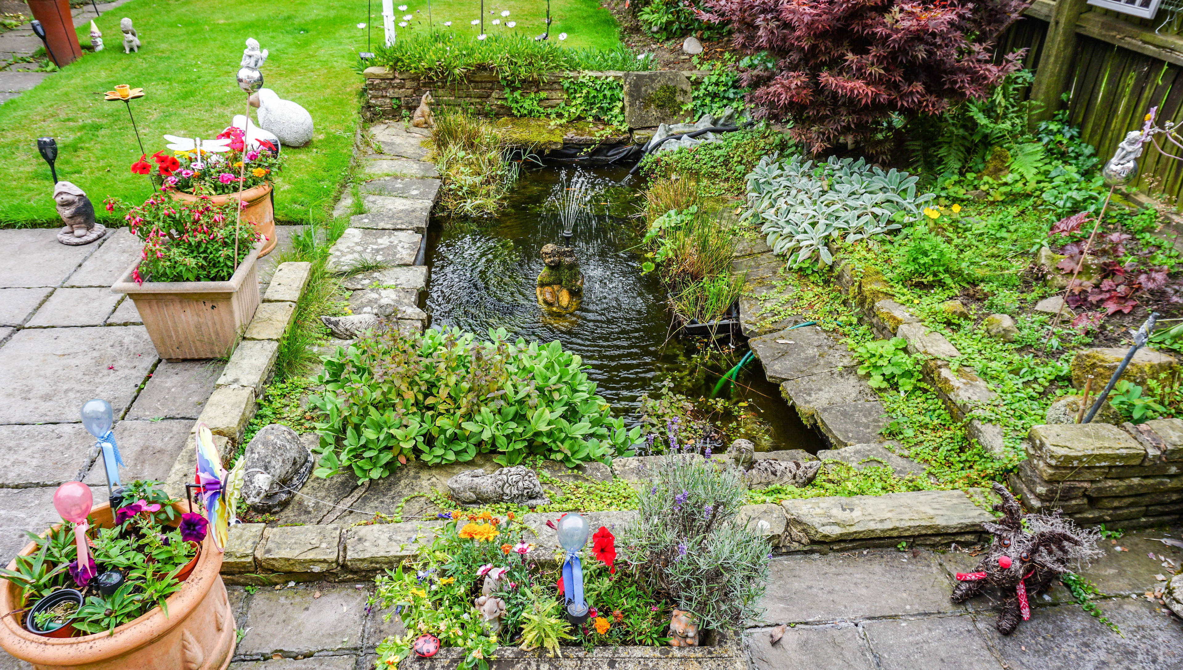 Garden