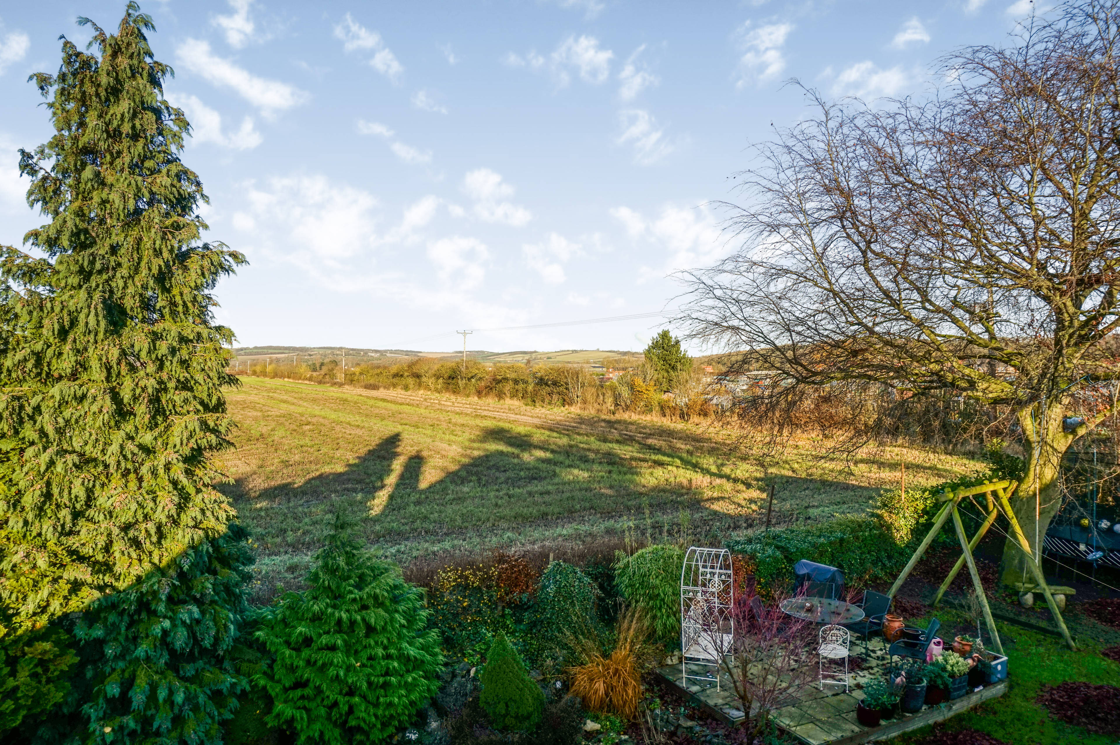 Rear View