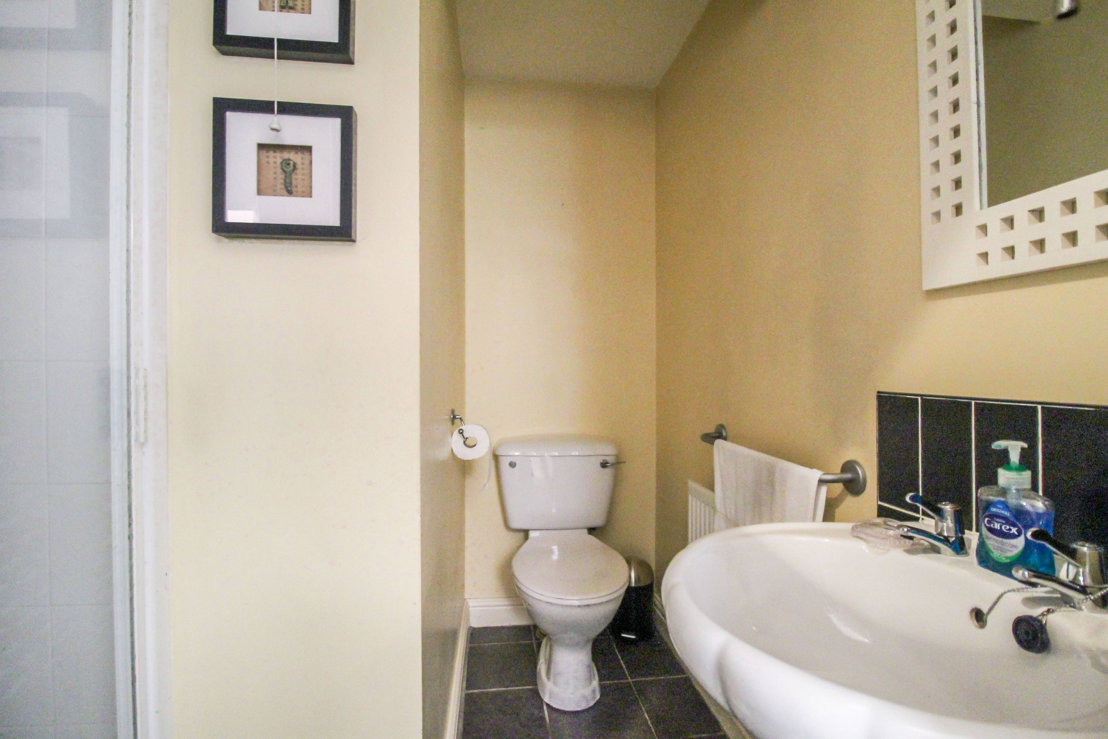 Downstairs Shower