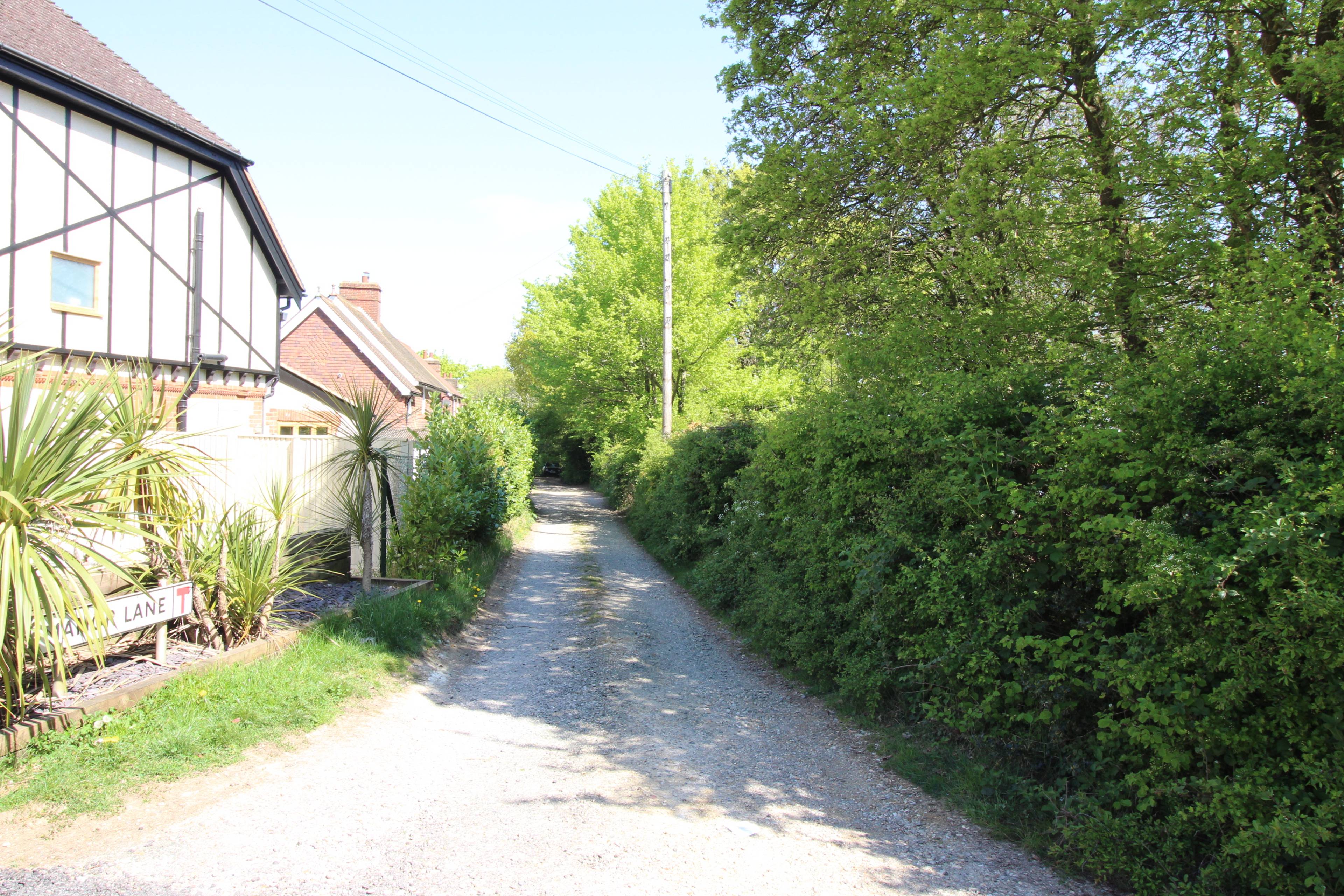Surrounding Area