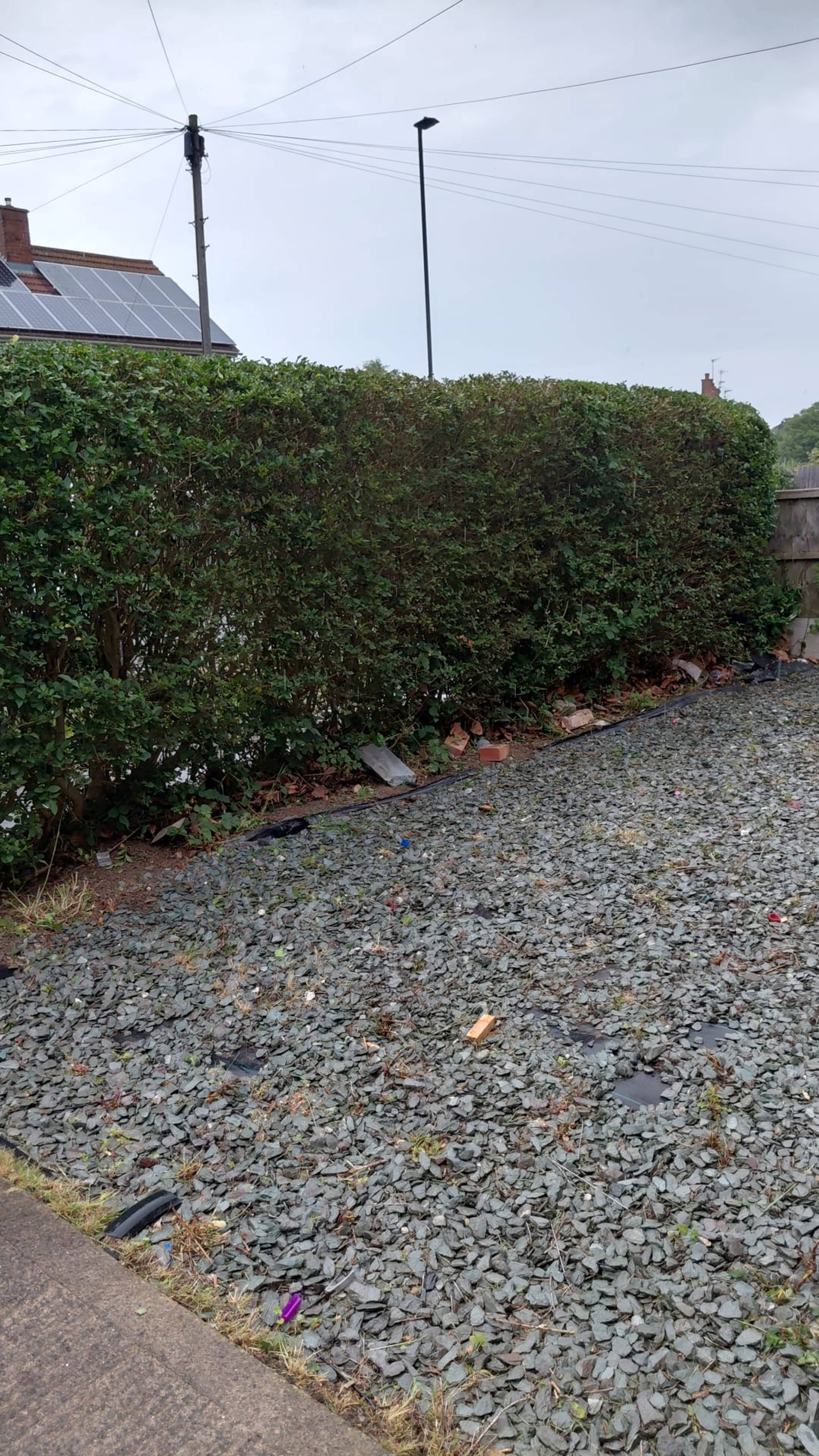 Front Garden