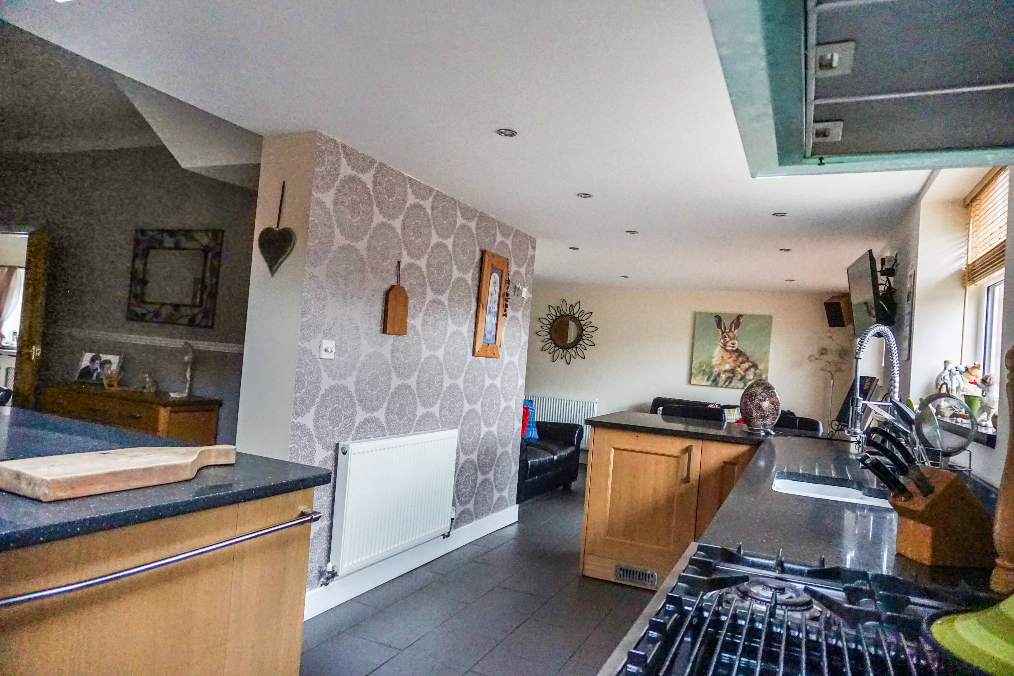 Kitchen/Family Room