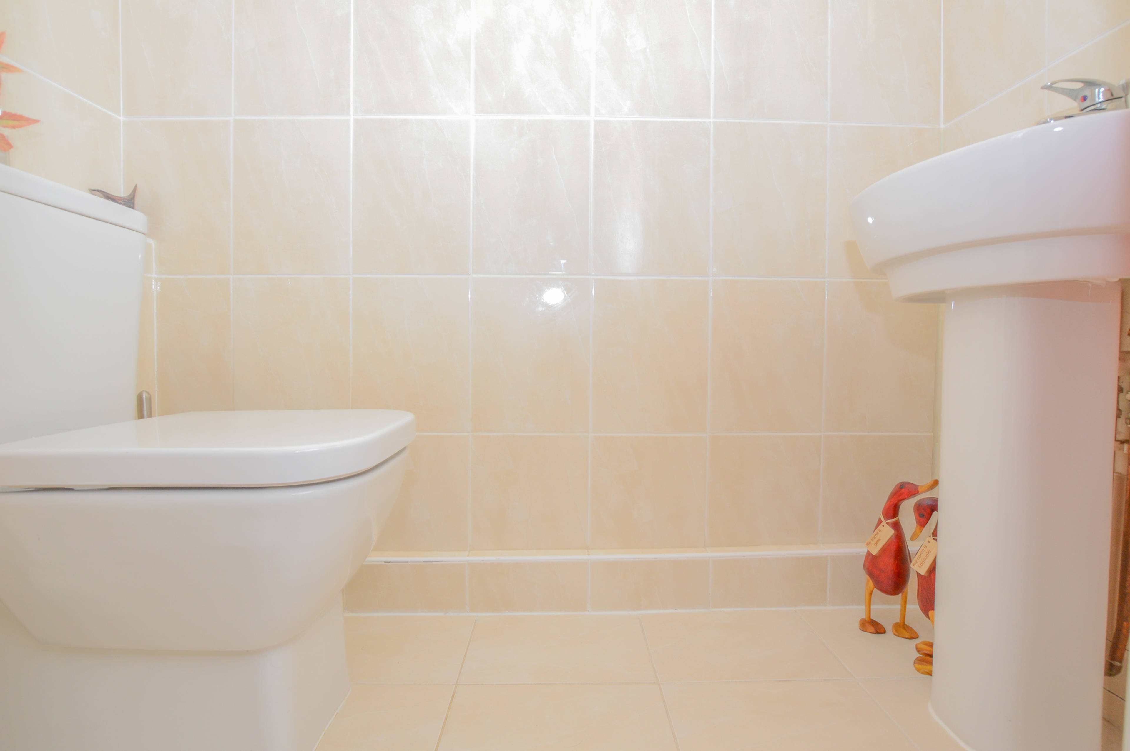 Downstairs Cloakroom