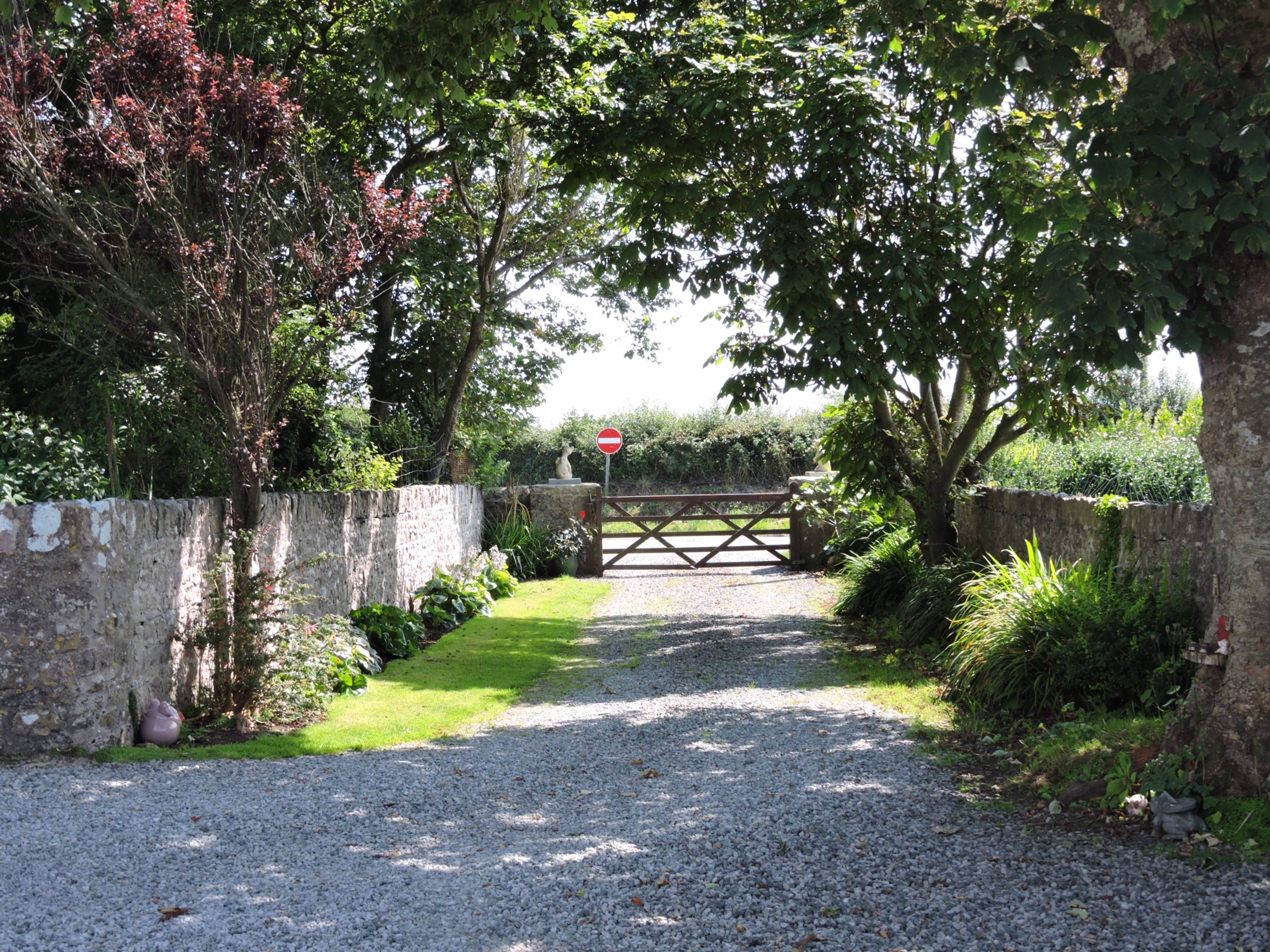 Driveway