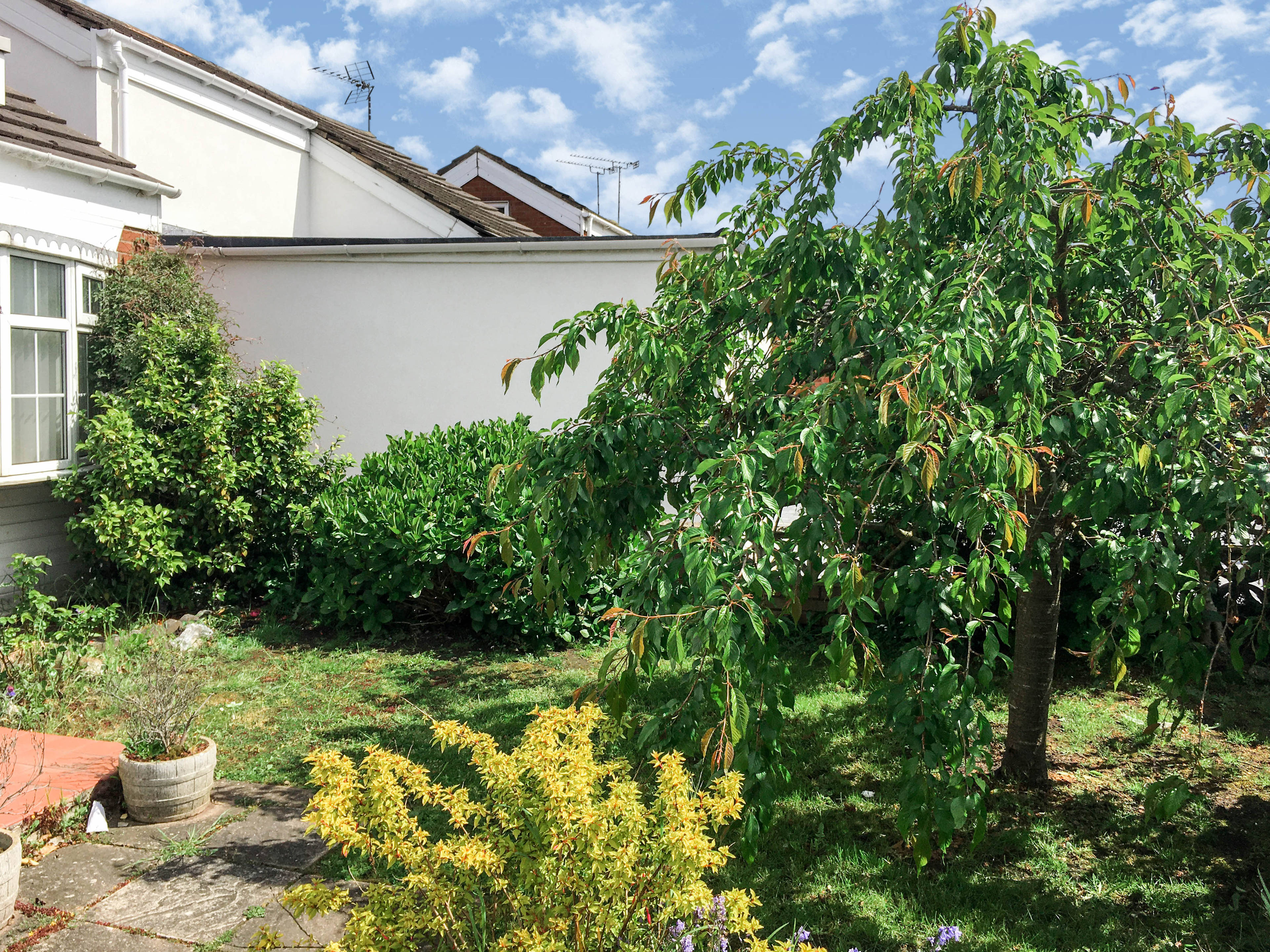 Front Garden