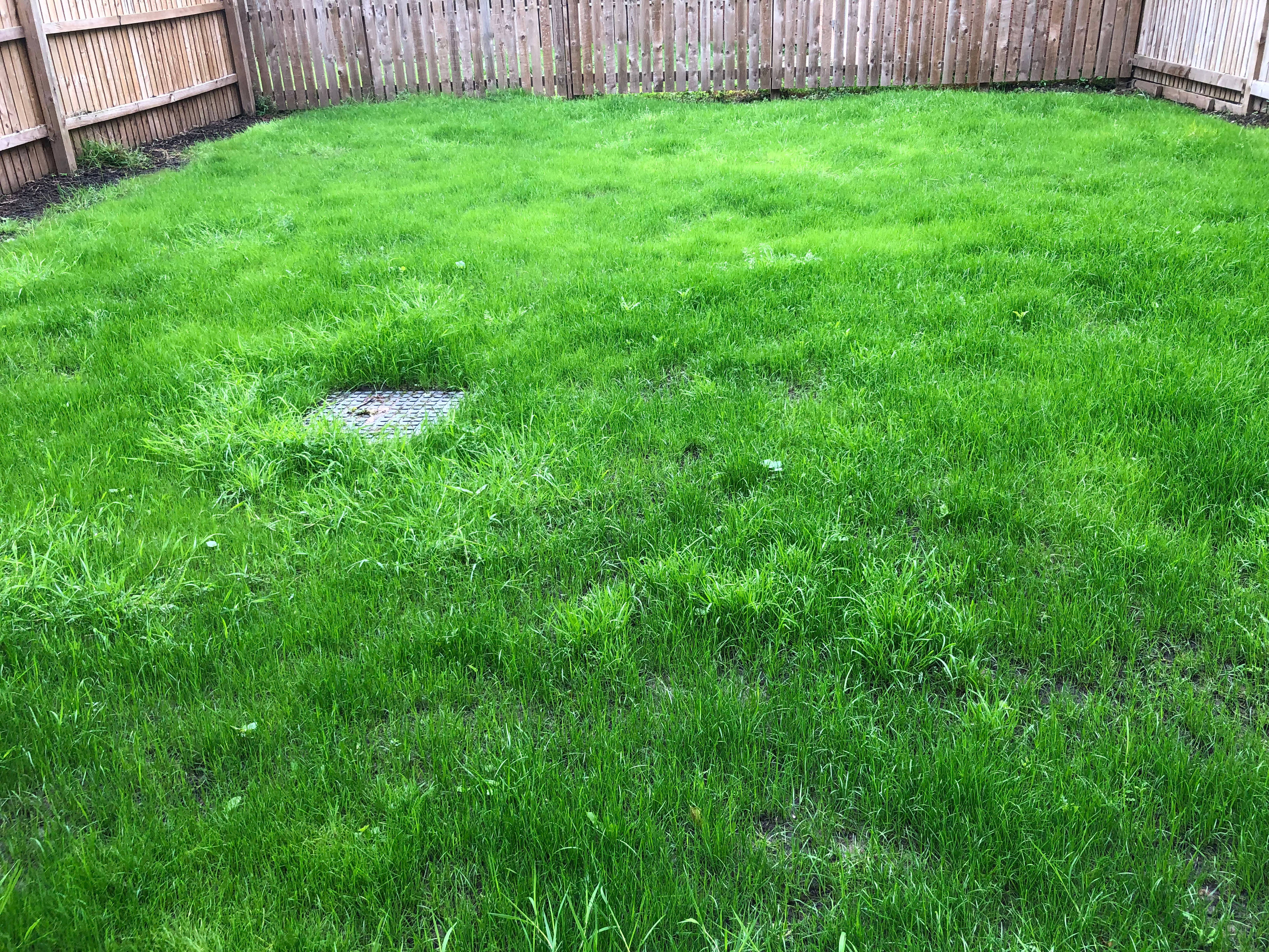 Large Garden