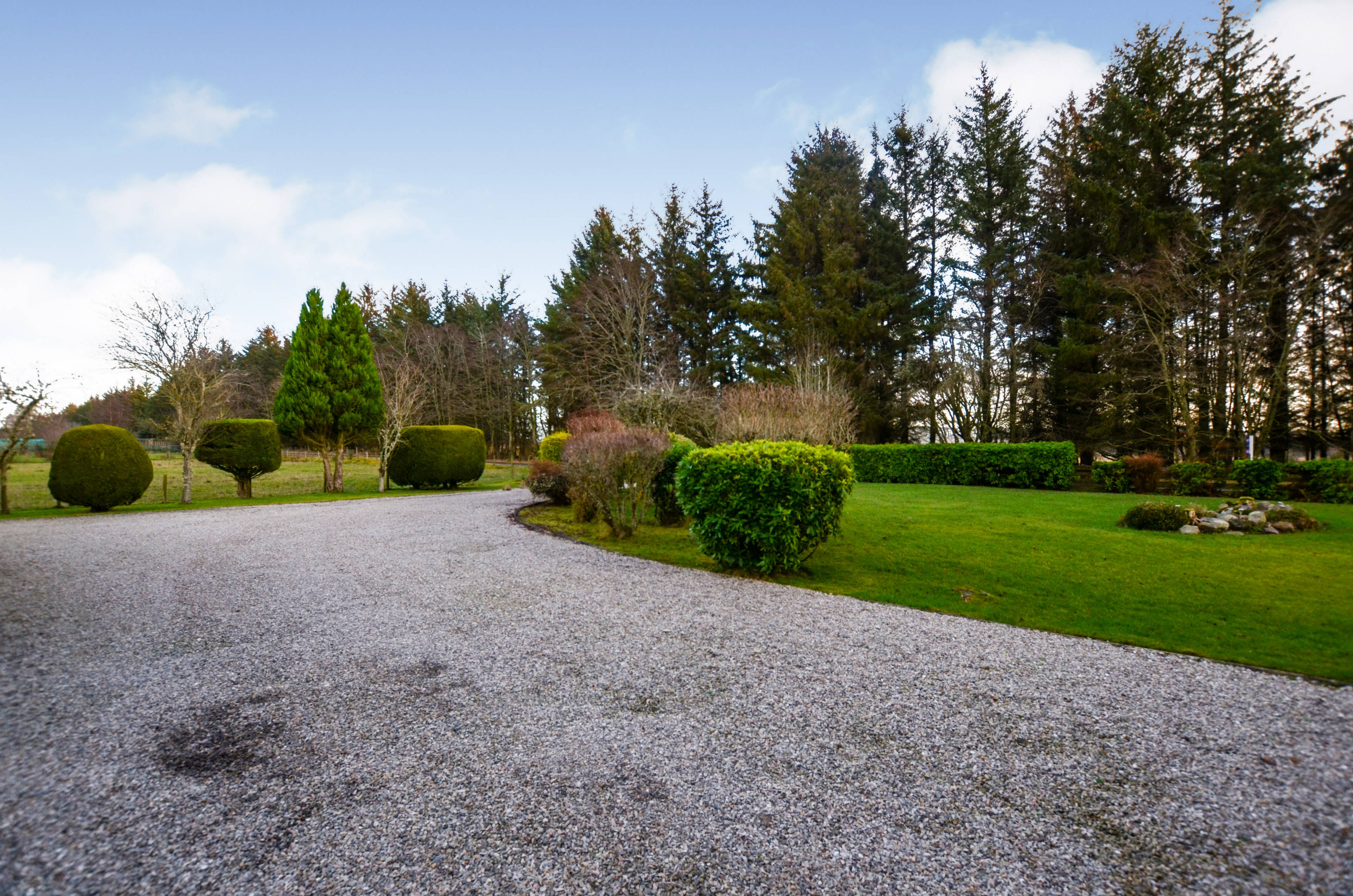 Driveway