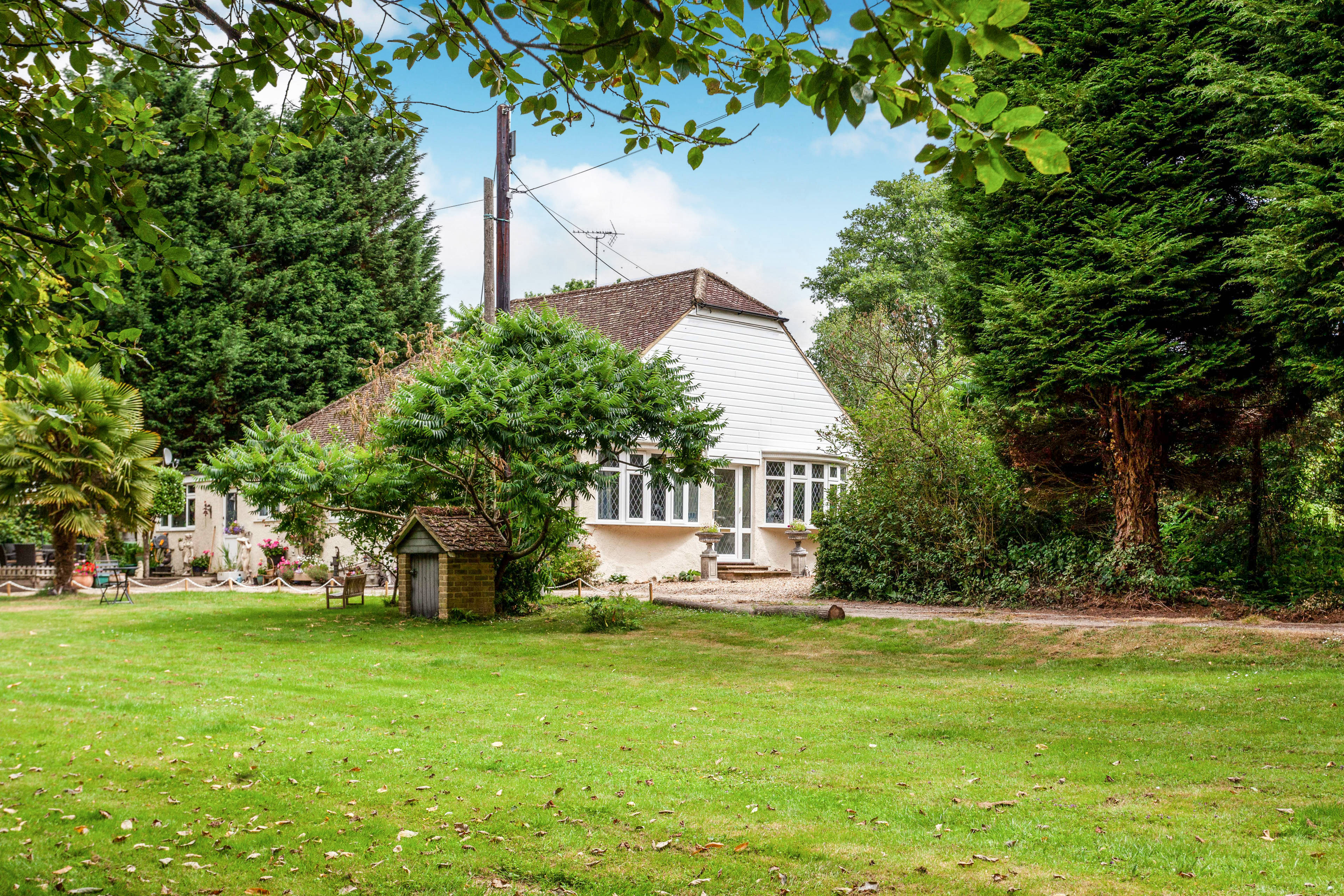 The Property
