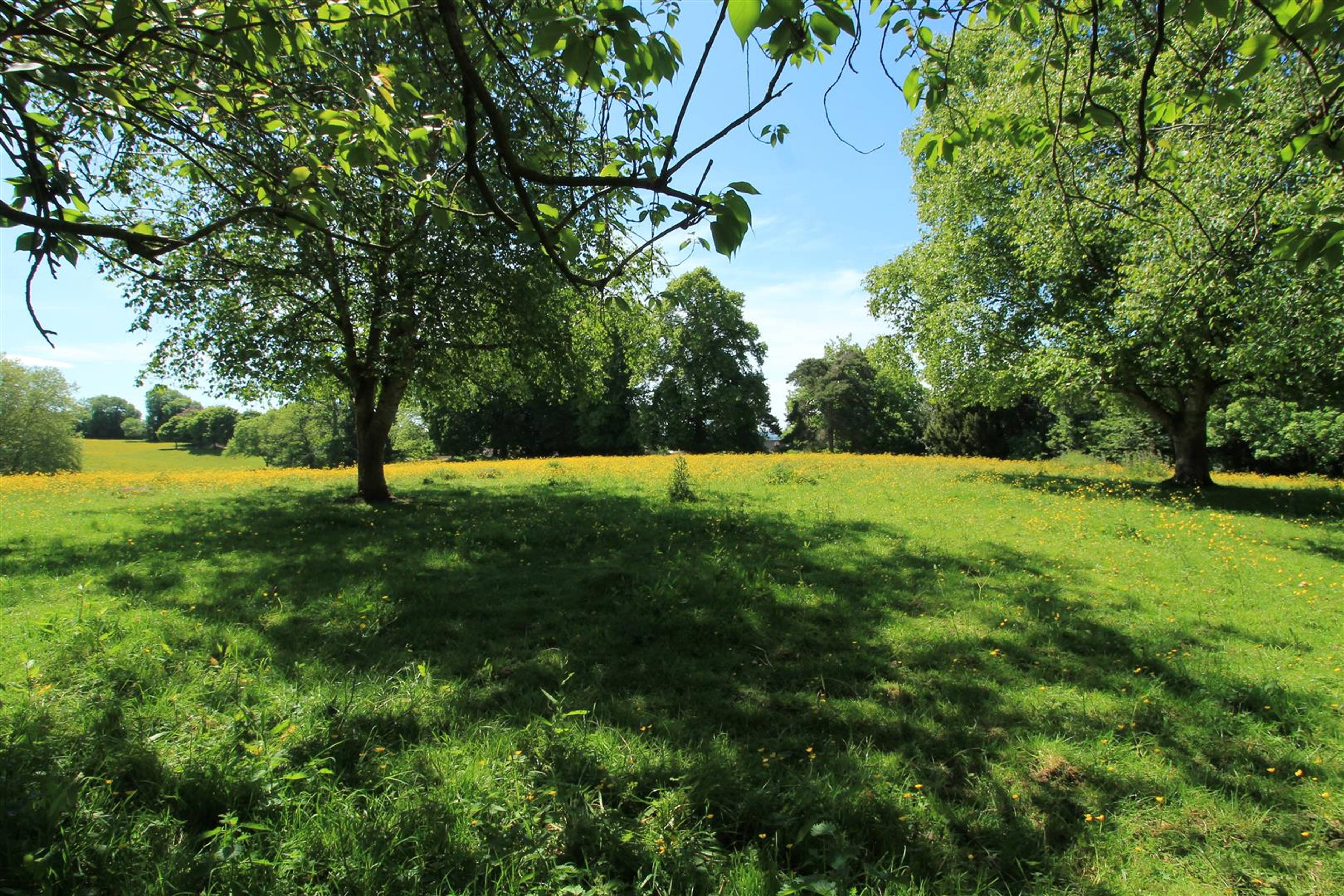 Communal Gardens