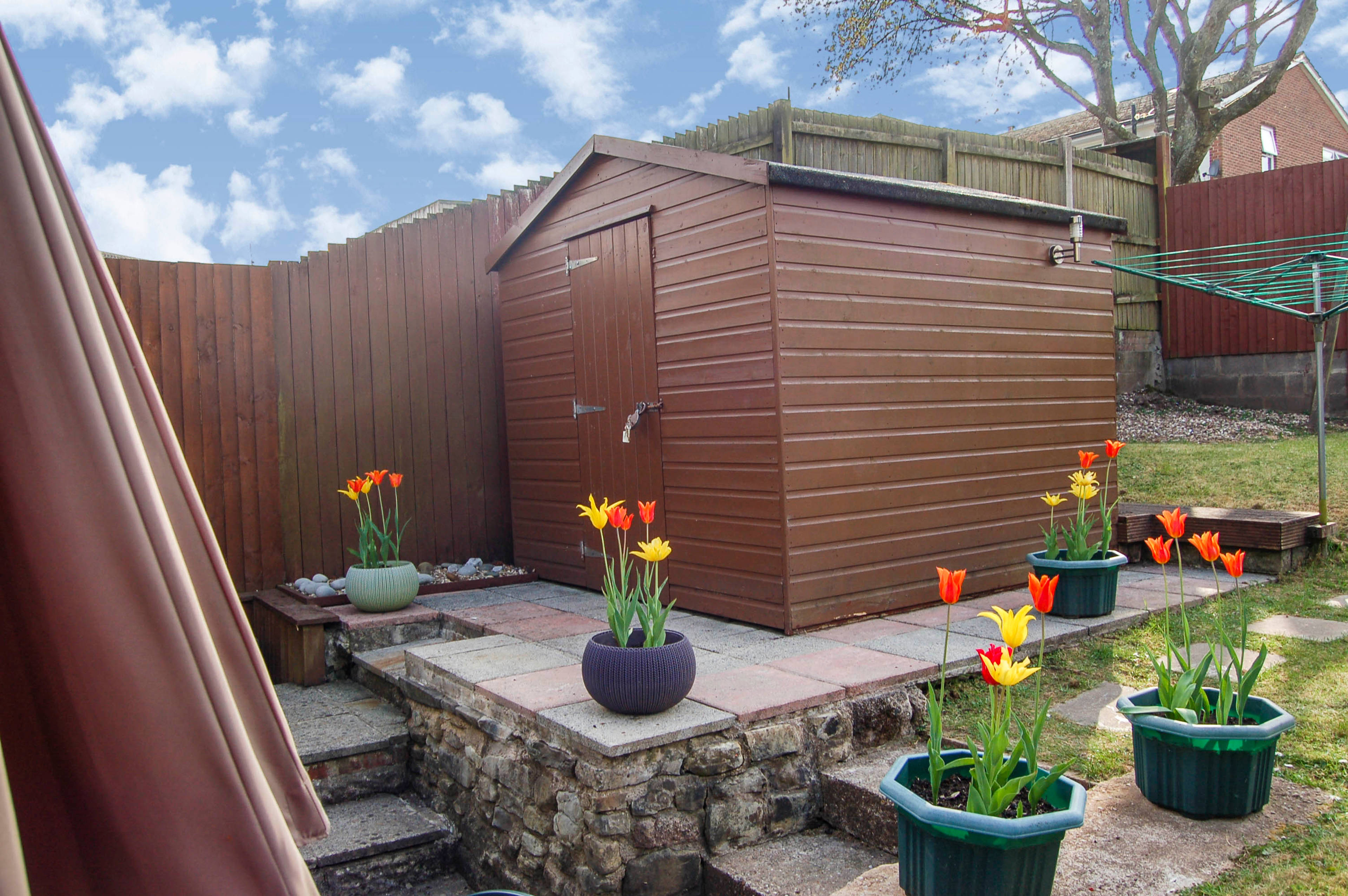 Shed