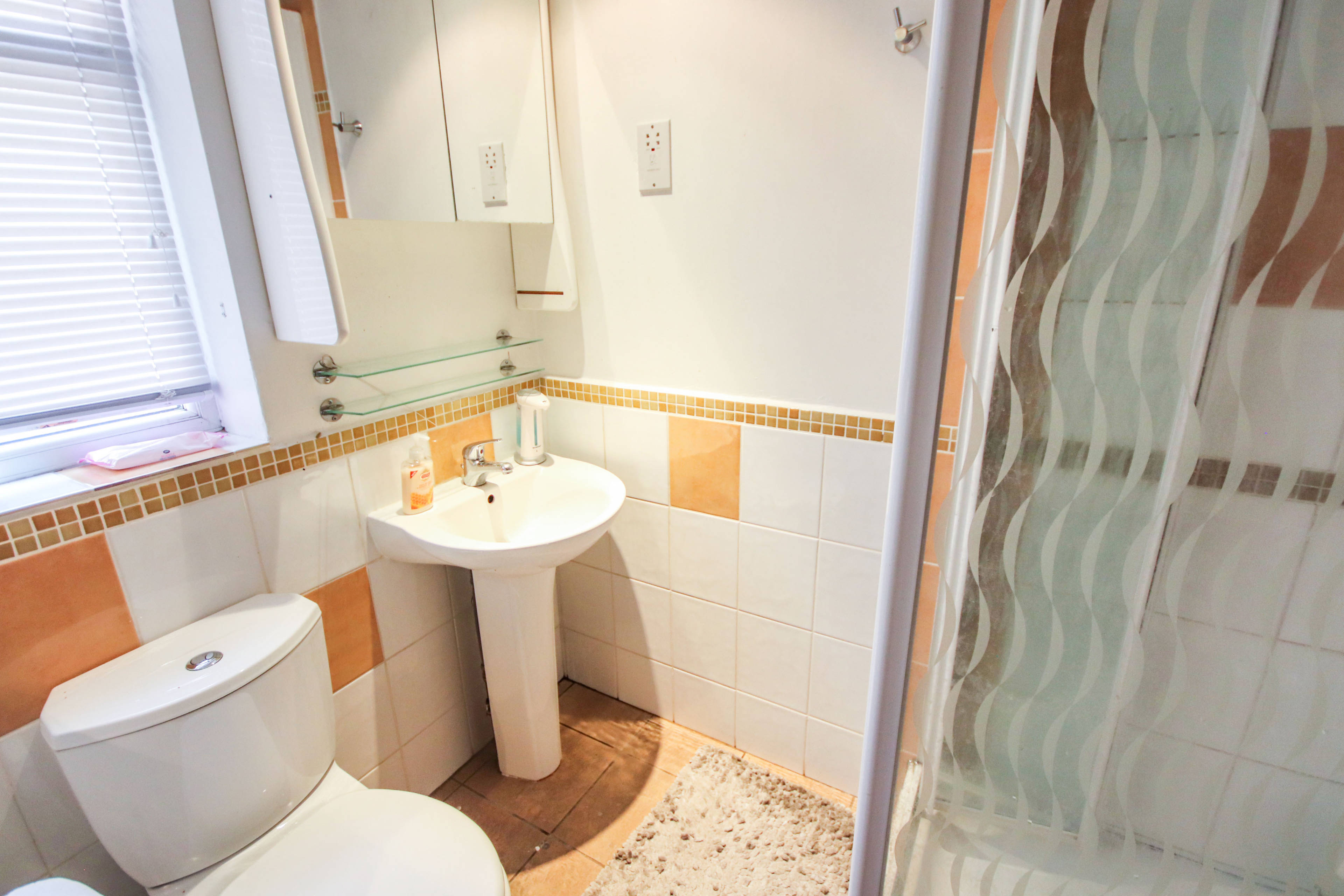 Downstairs Shower