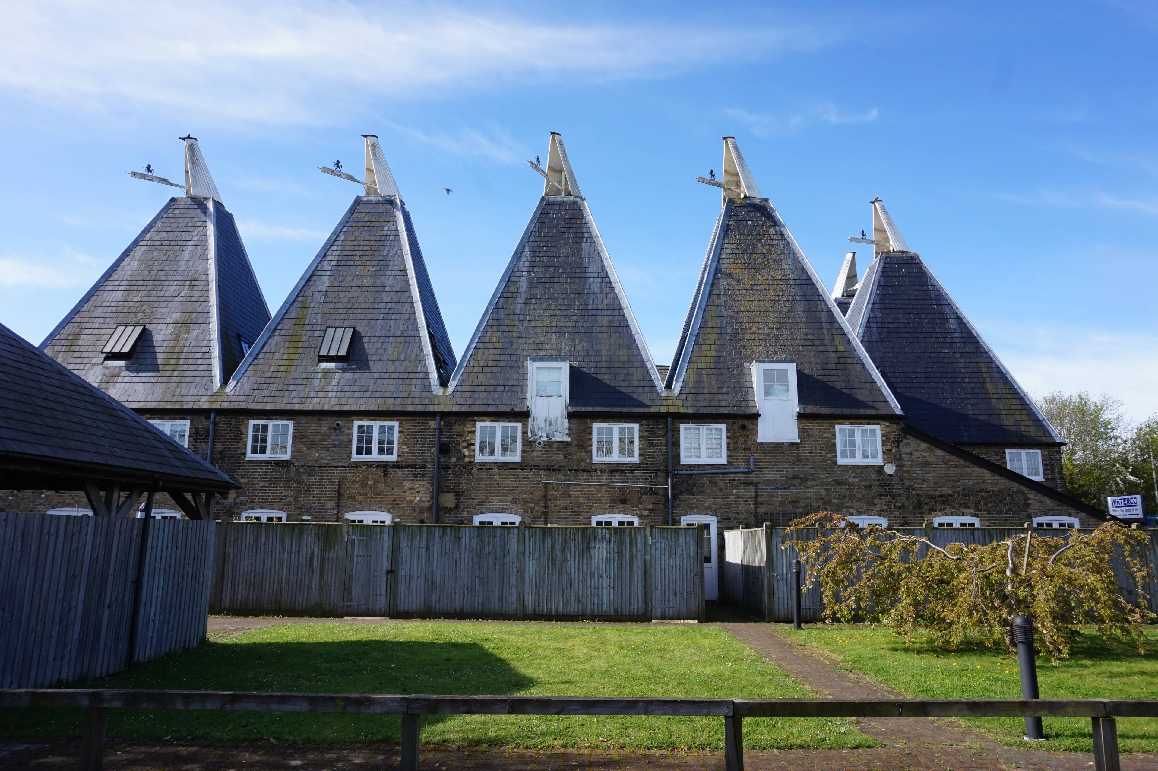 Rear View