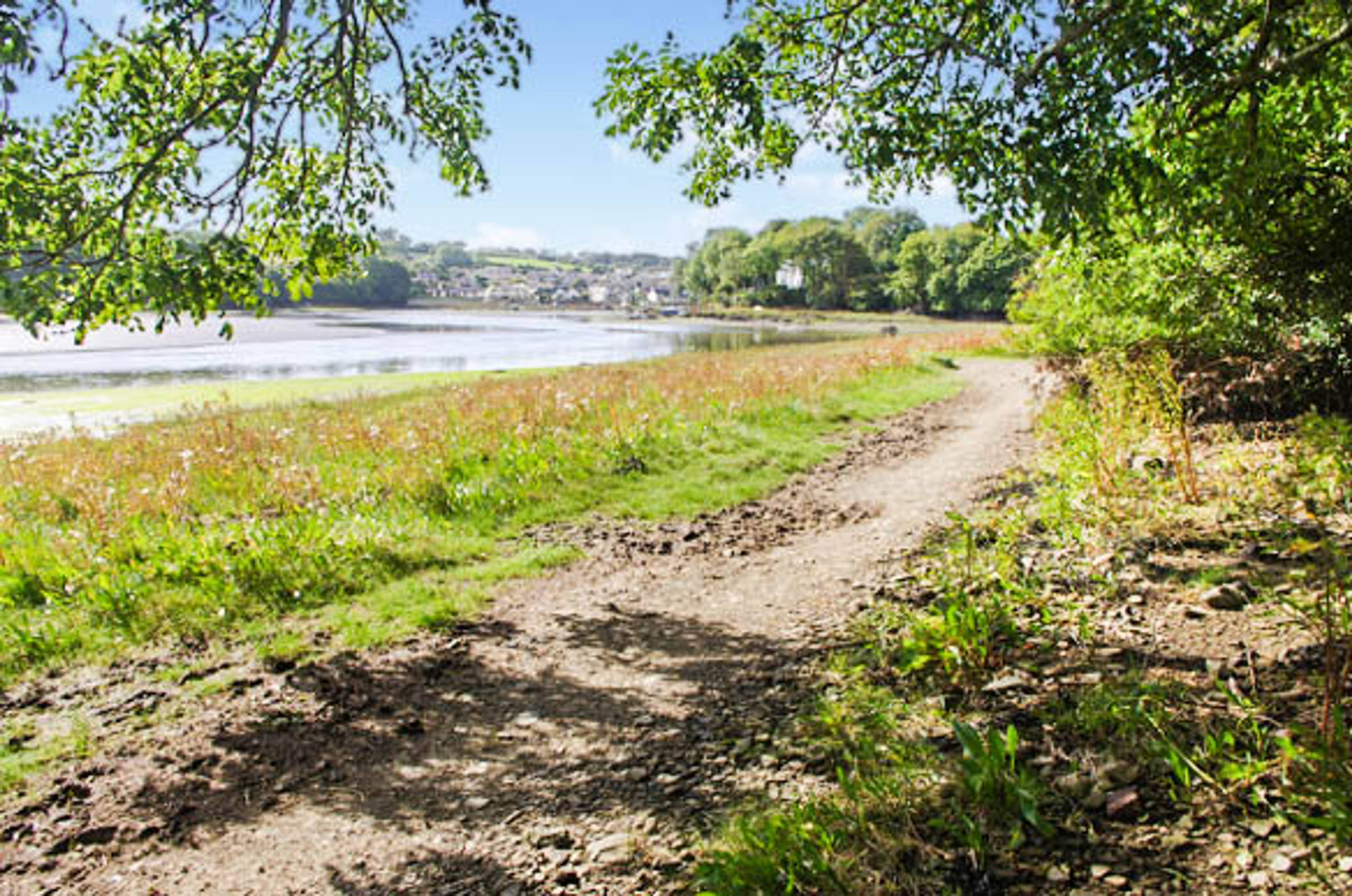 Nearby River