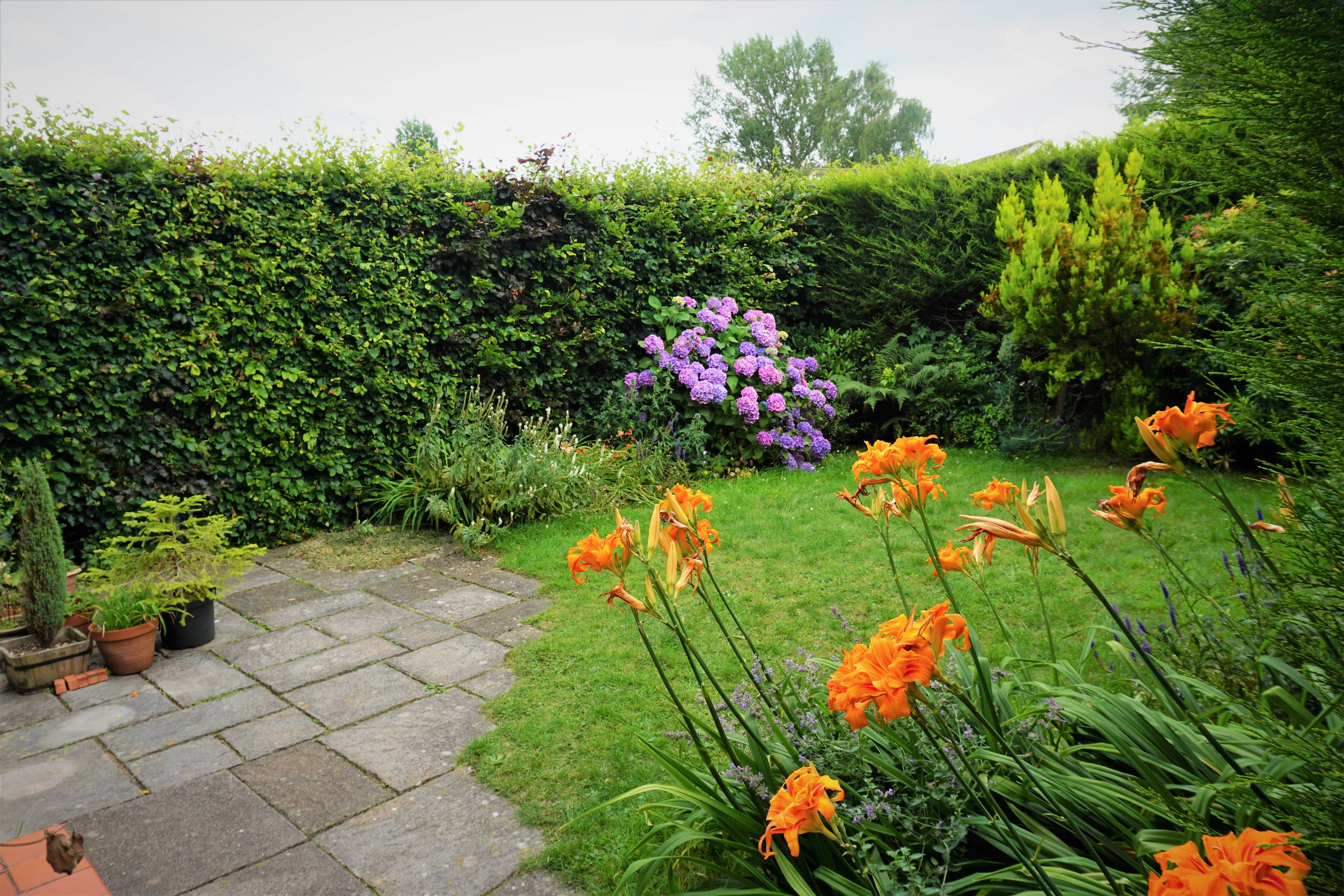Front Garden