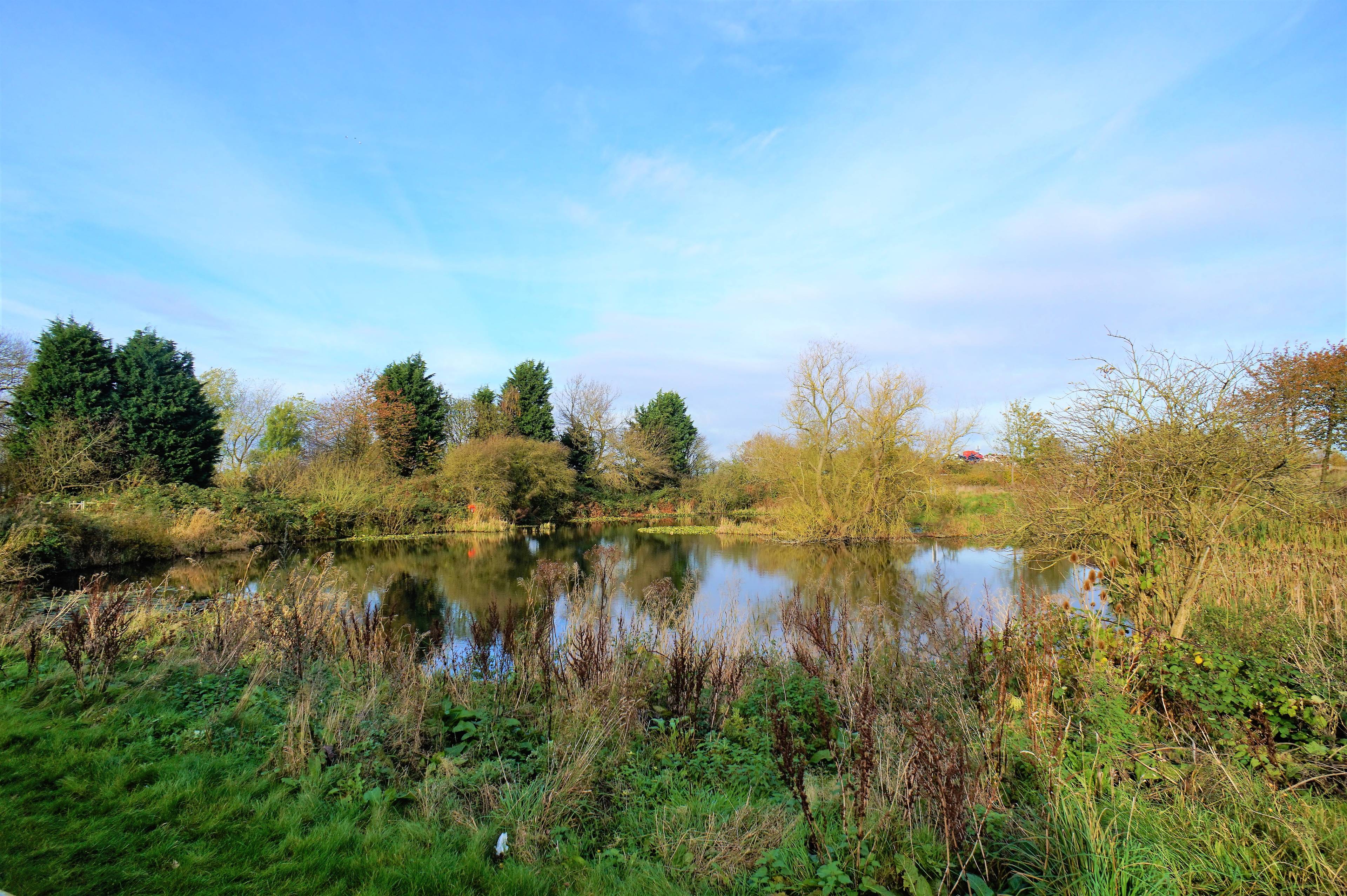 Lake