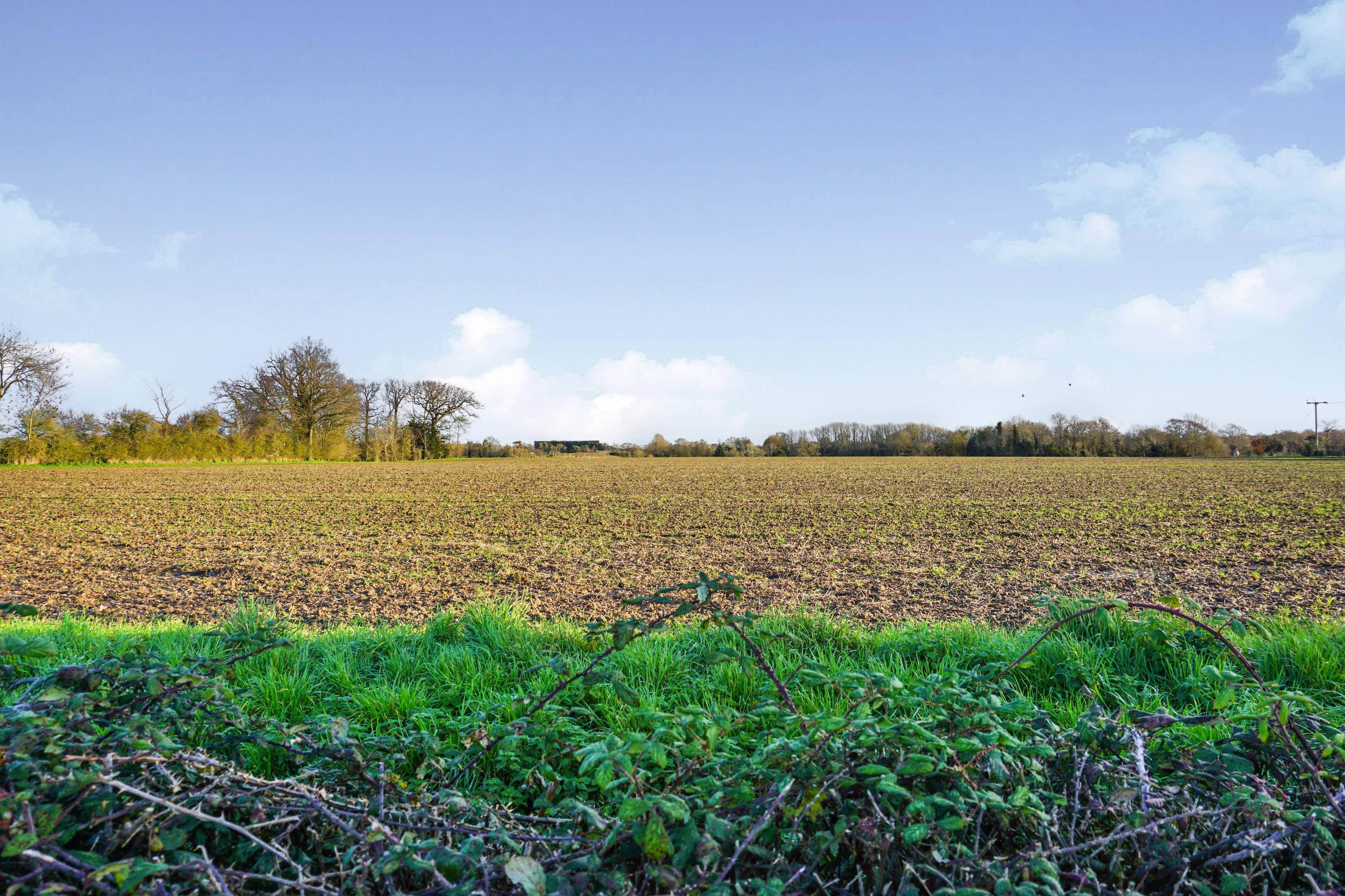 Field