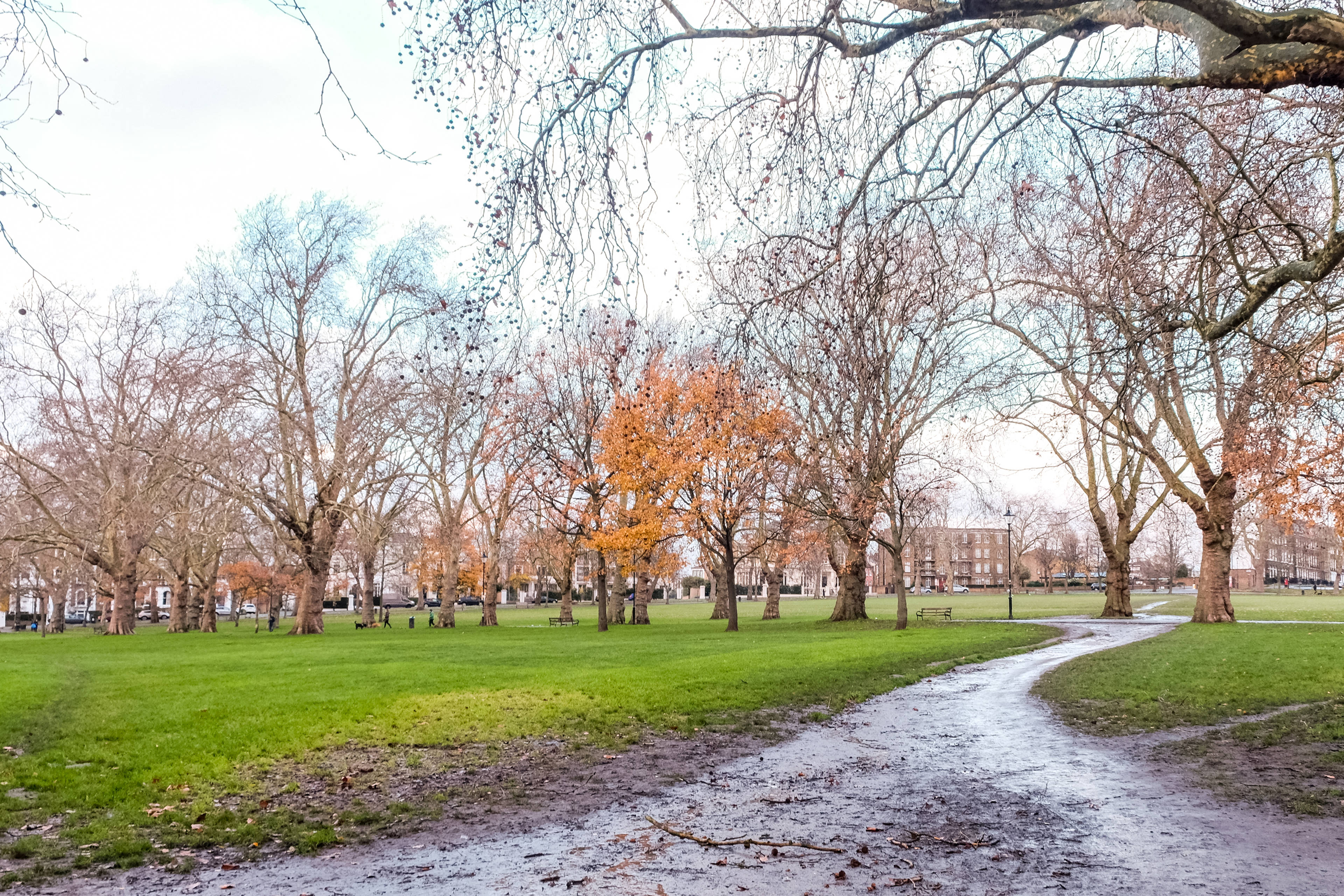 Nearby Park