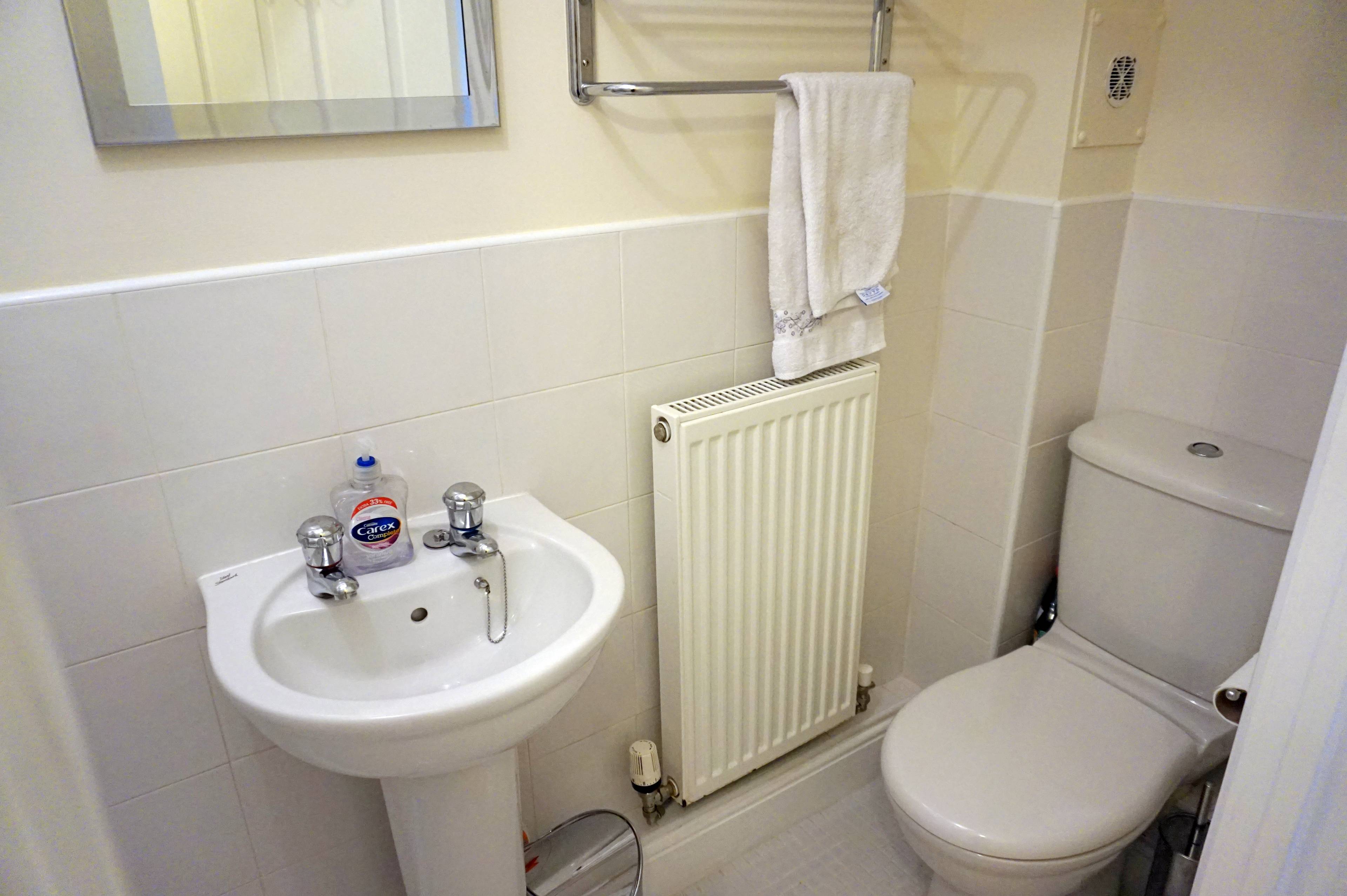 Downstairs Shower