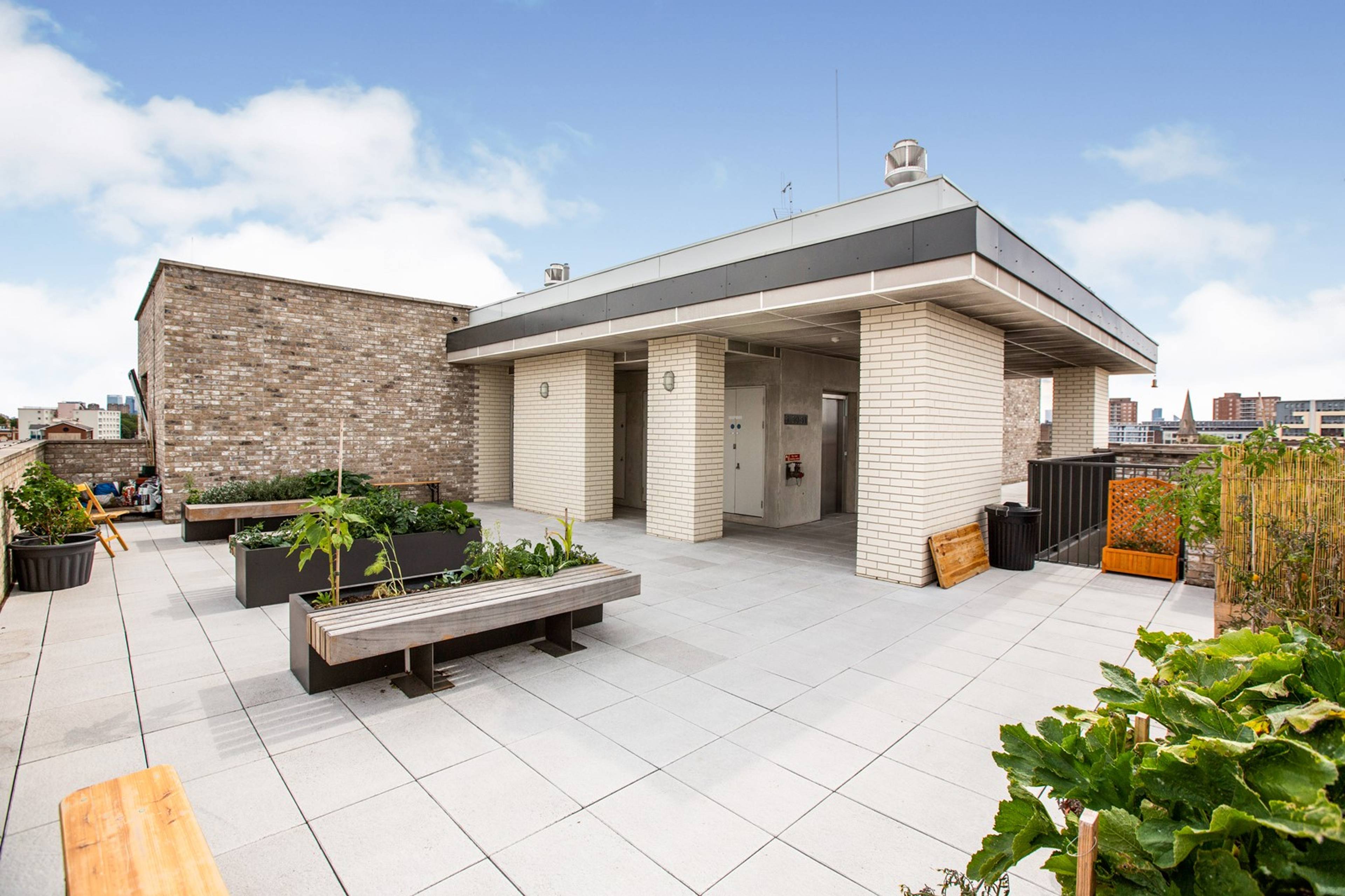 Roof Terrace