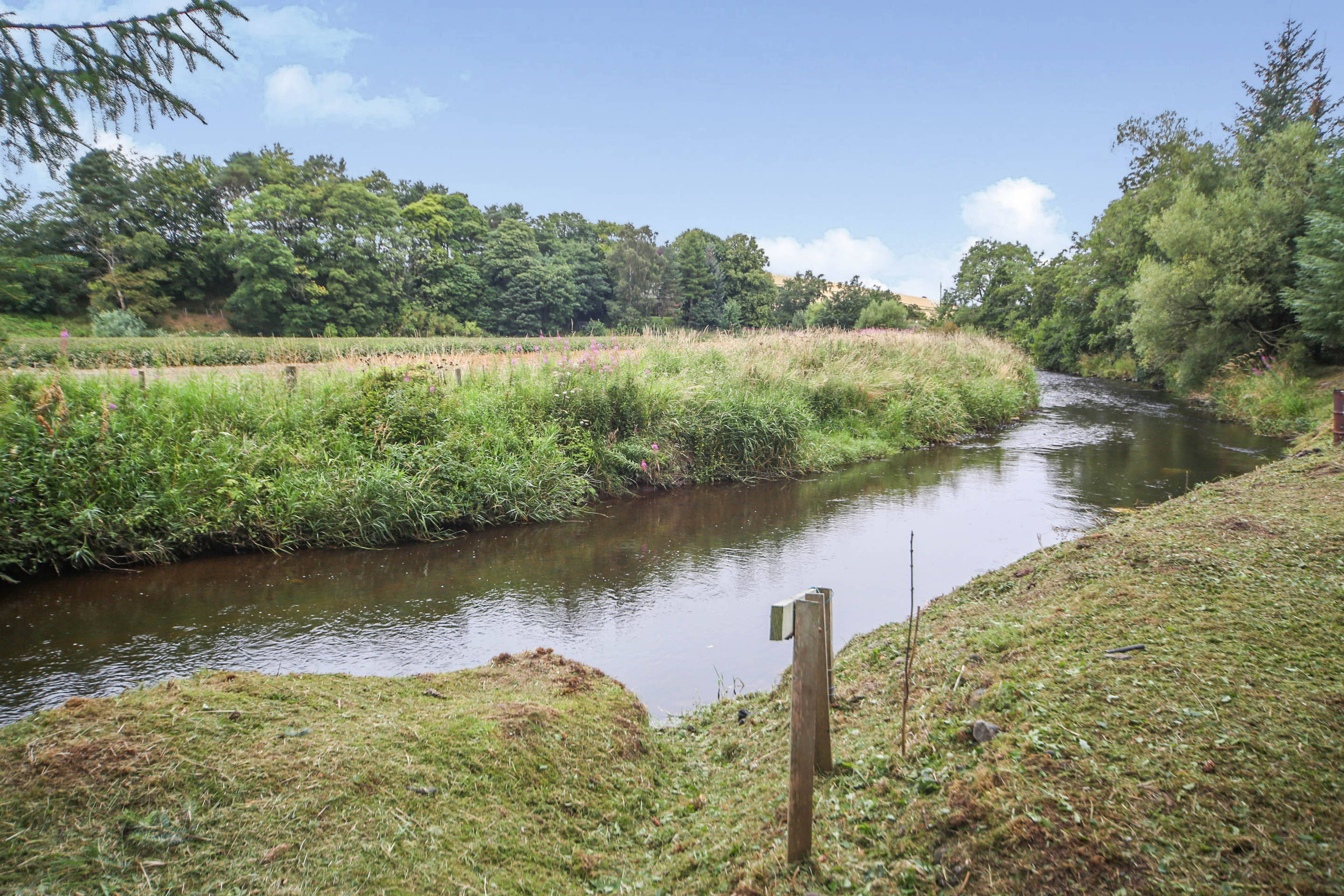Nearby River