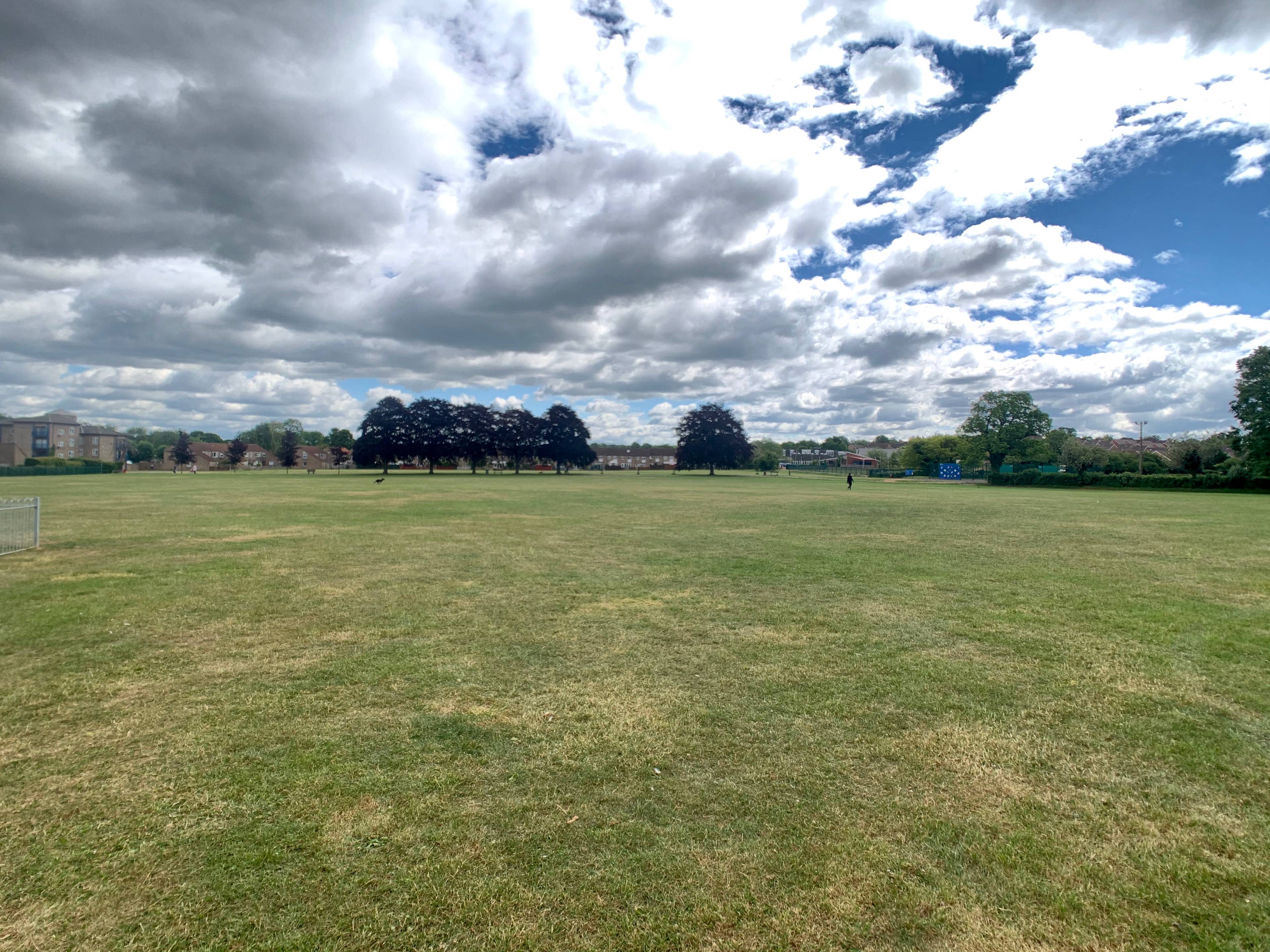 Nearby Park