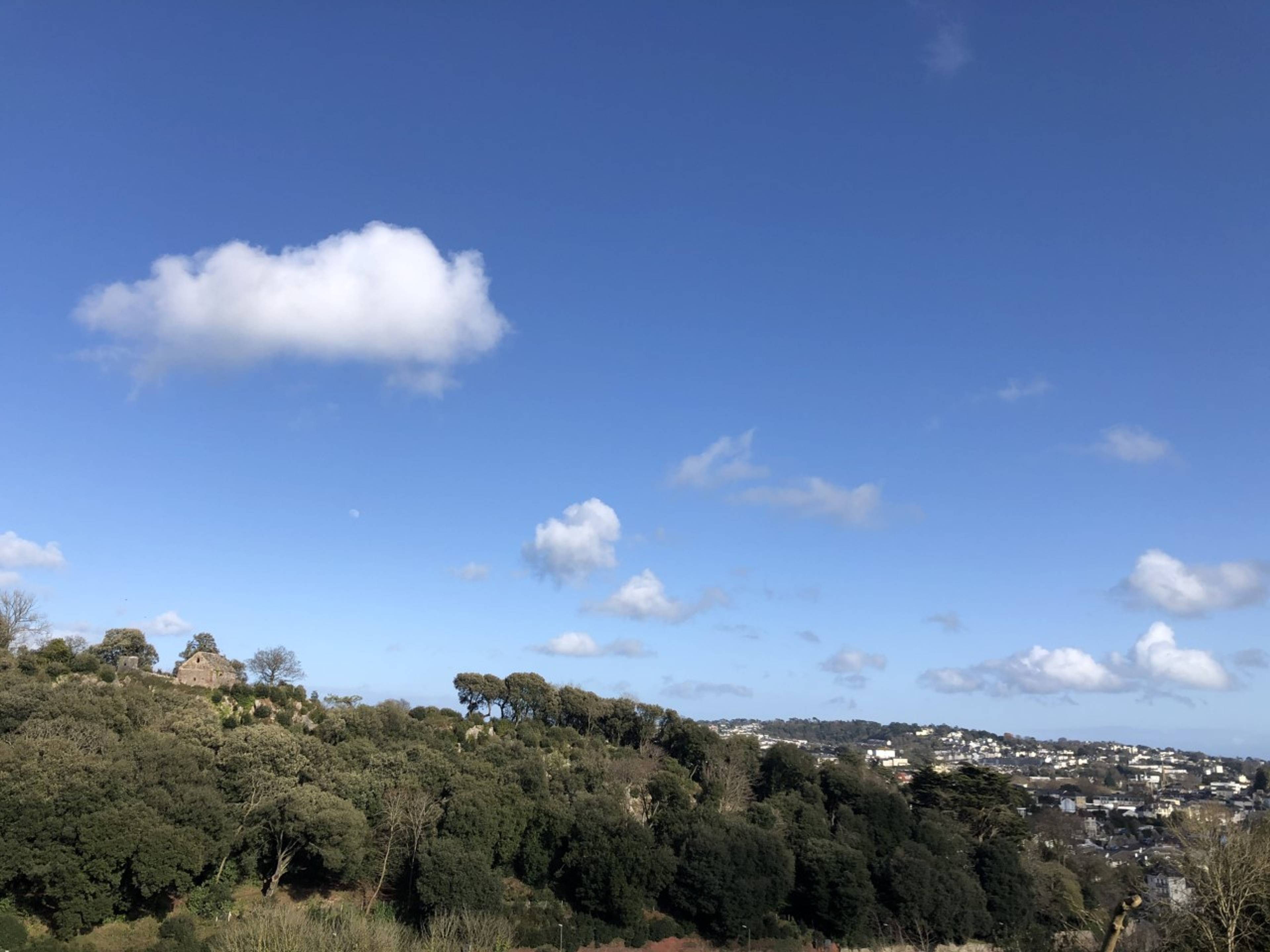View