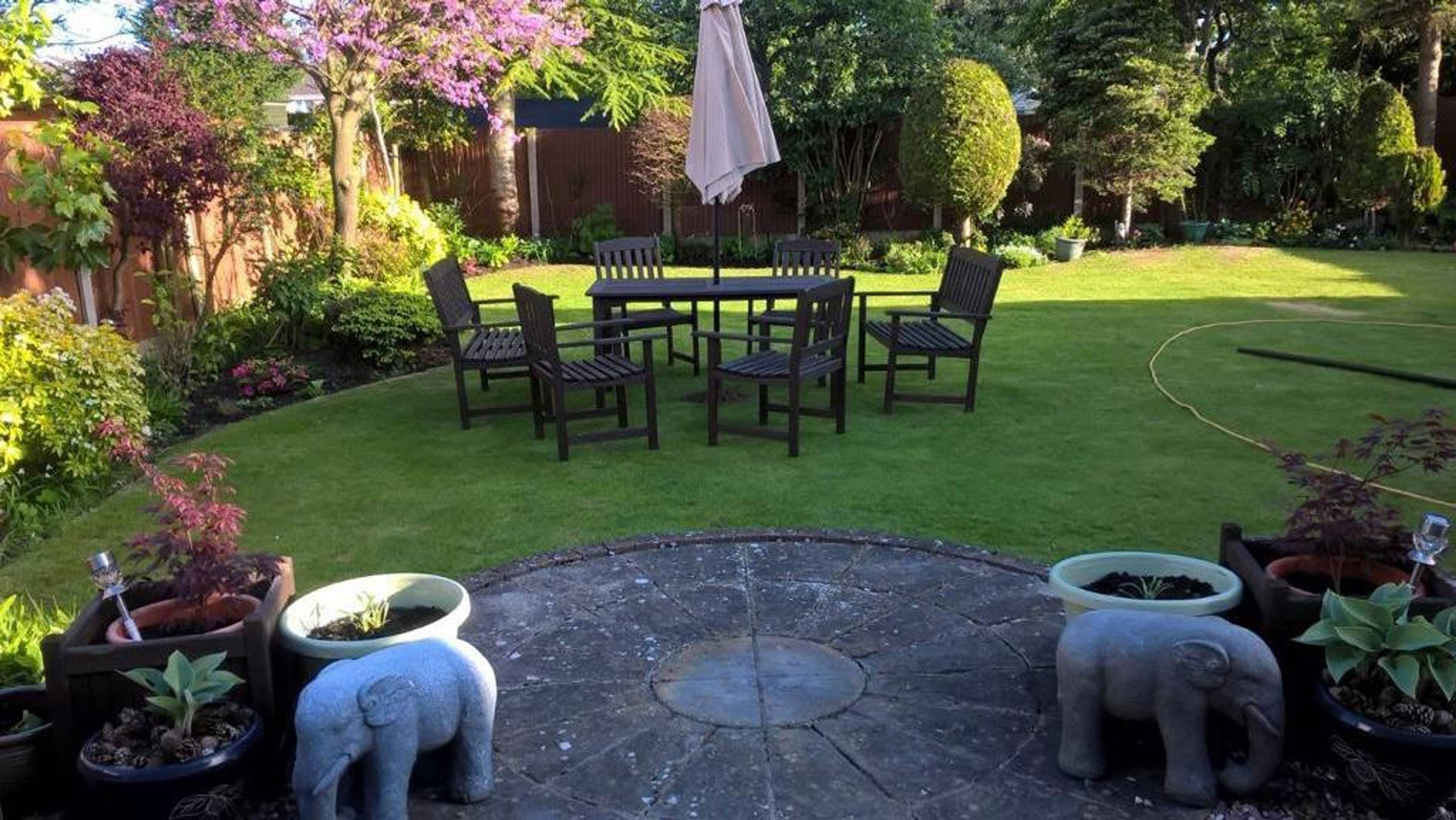 Garden 