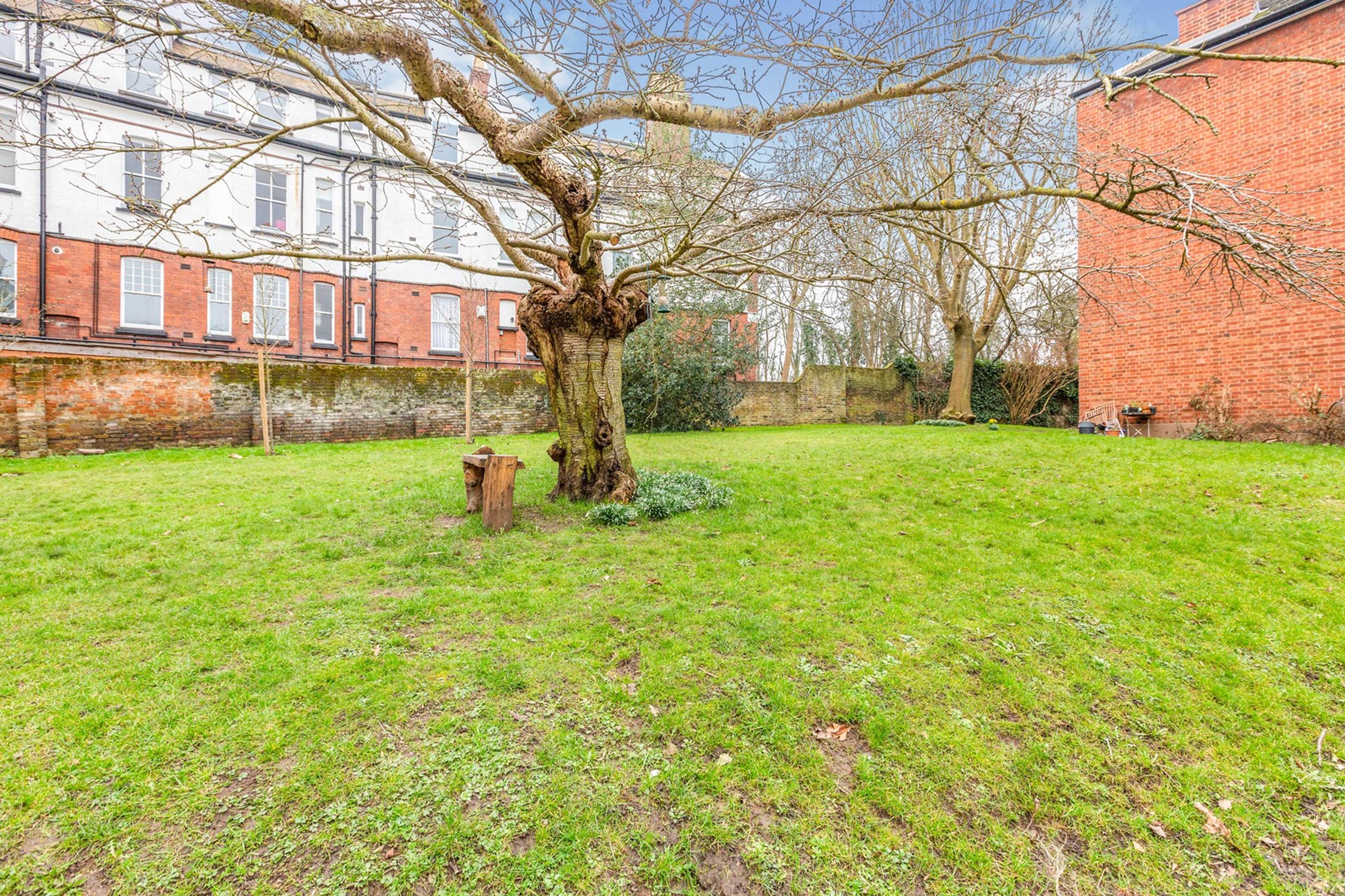 Communal Gardens