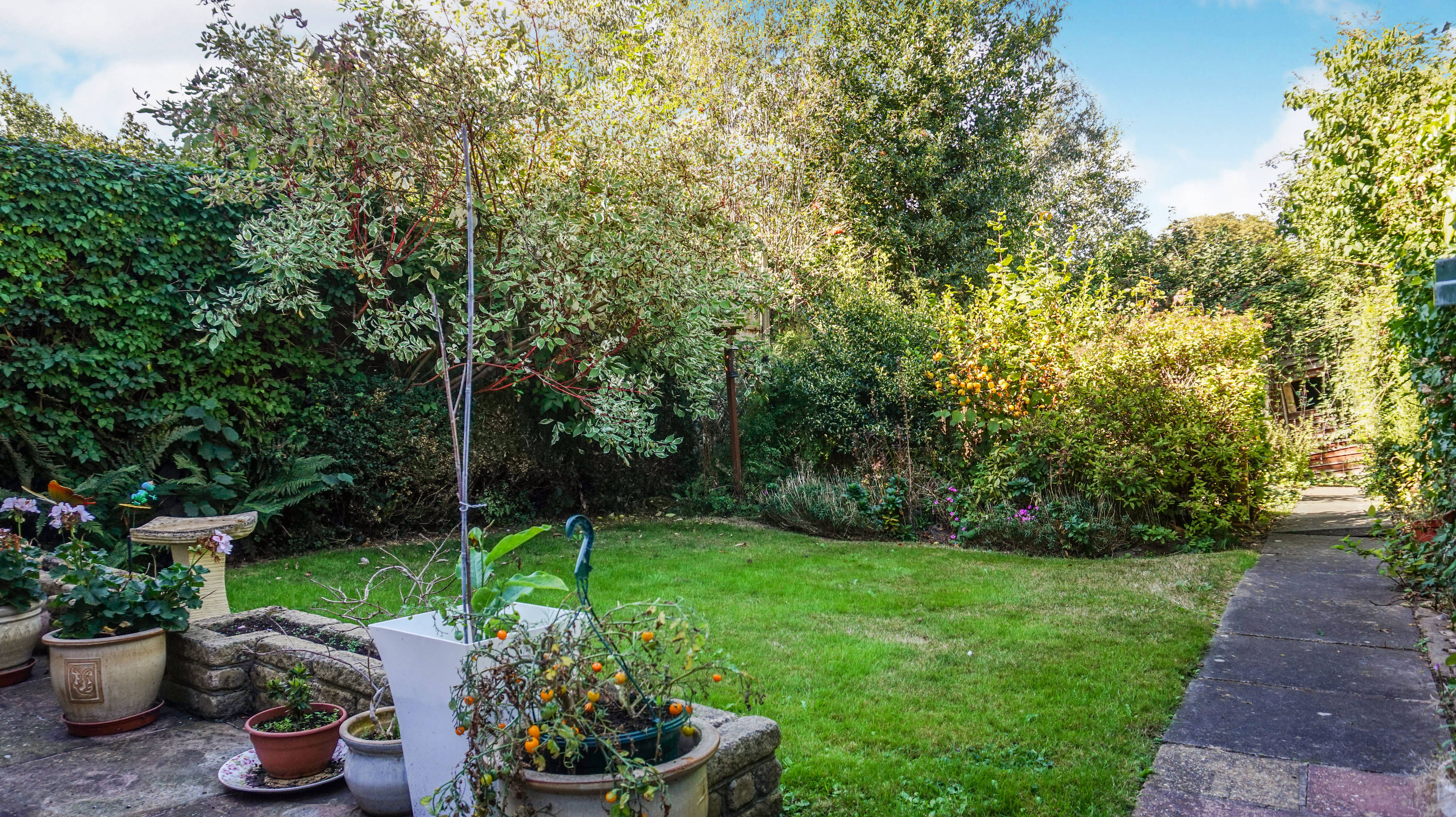 Garden