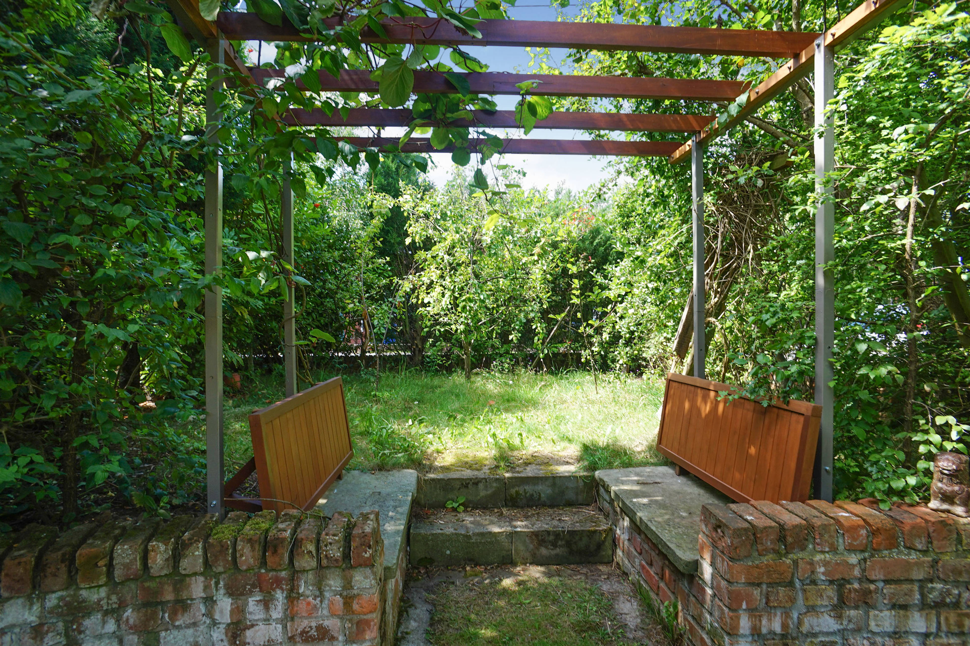 Orchard