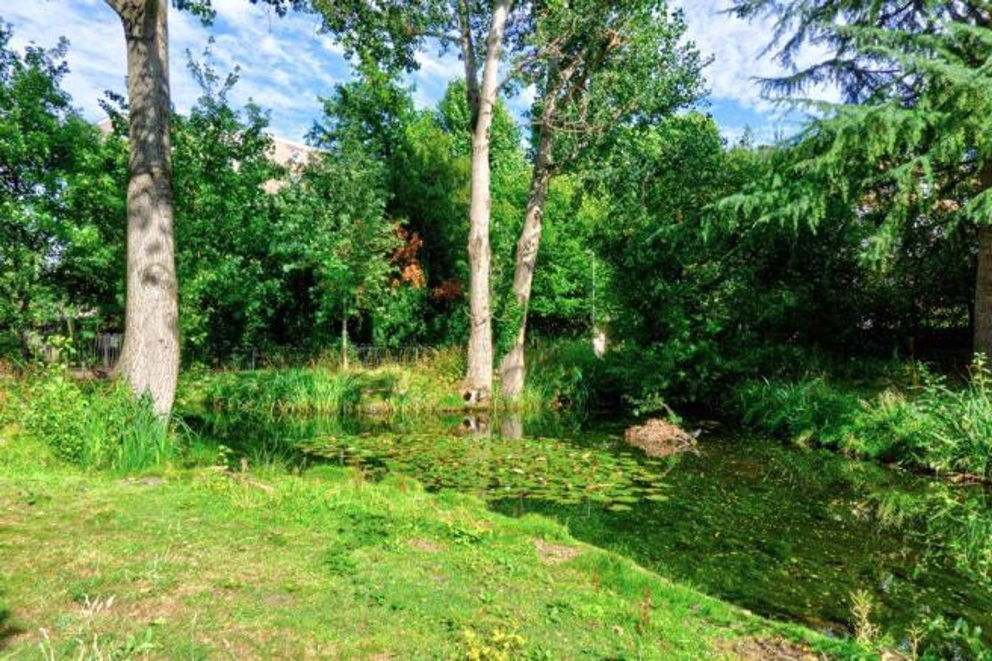 Communal Gardens