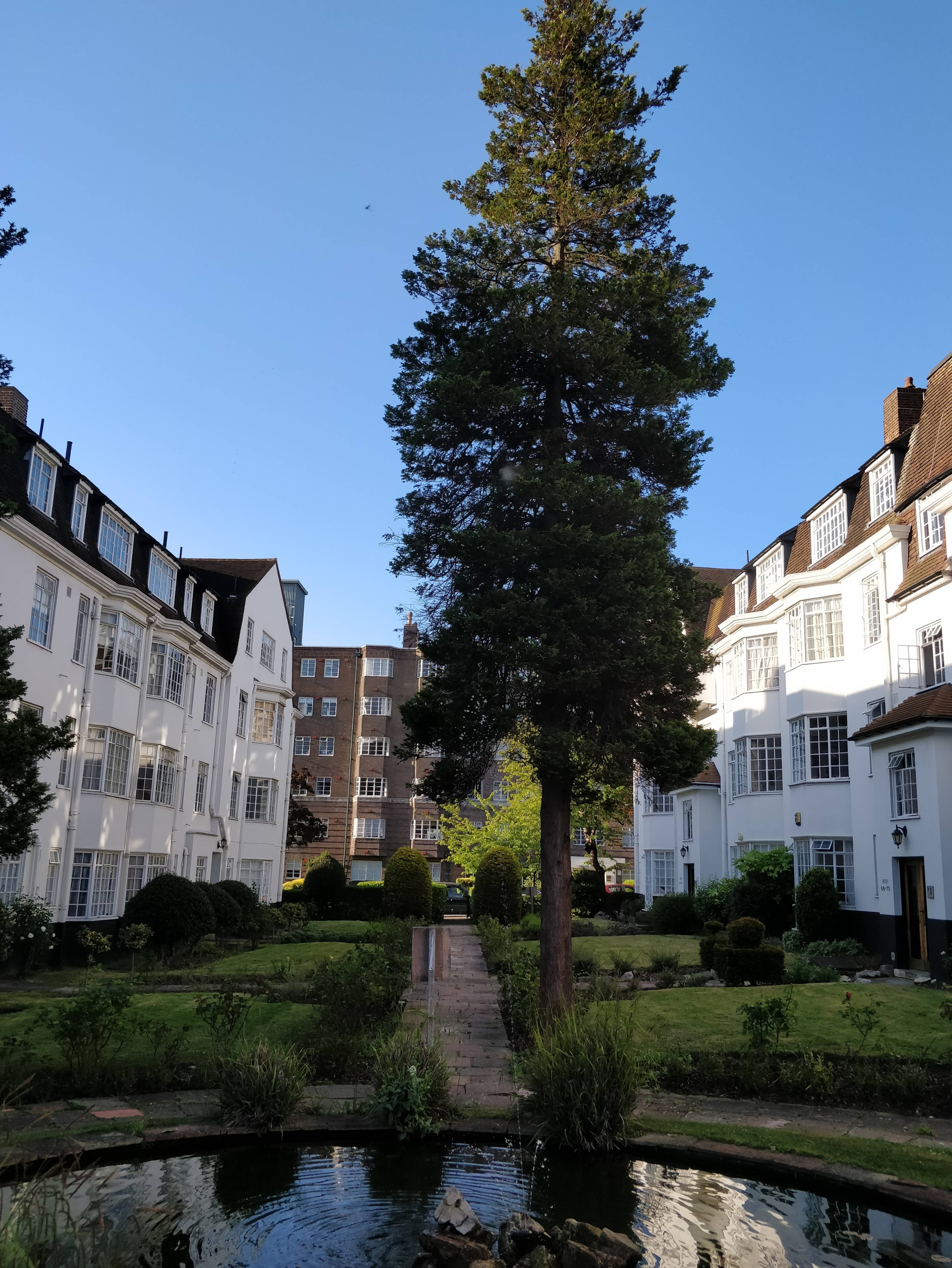 Communal Gardens