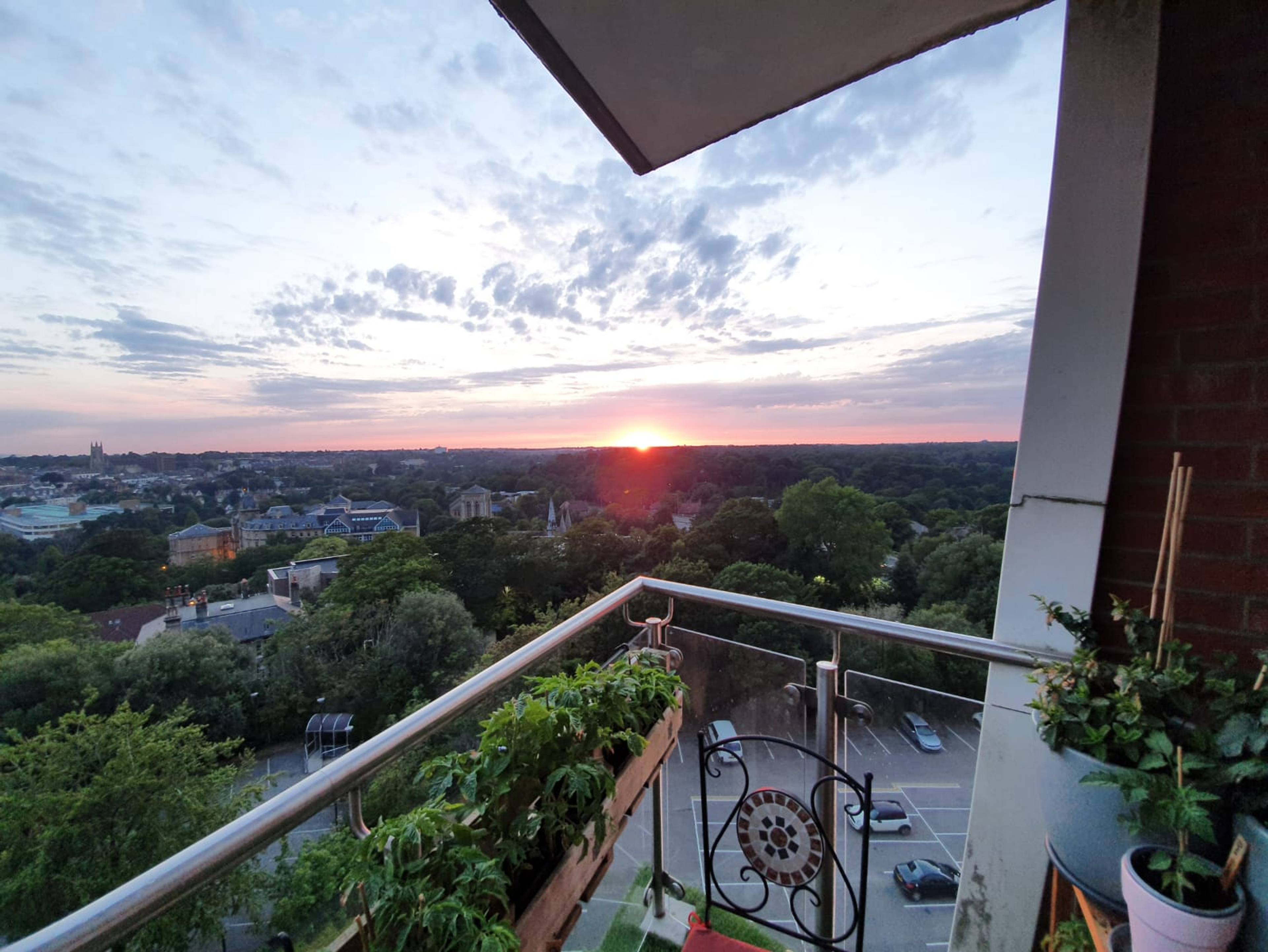 View