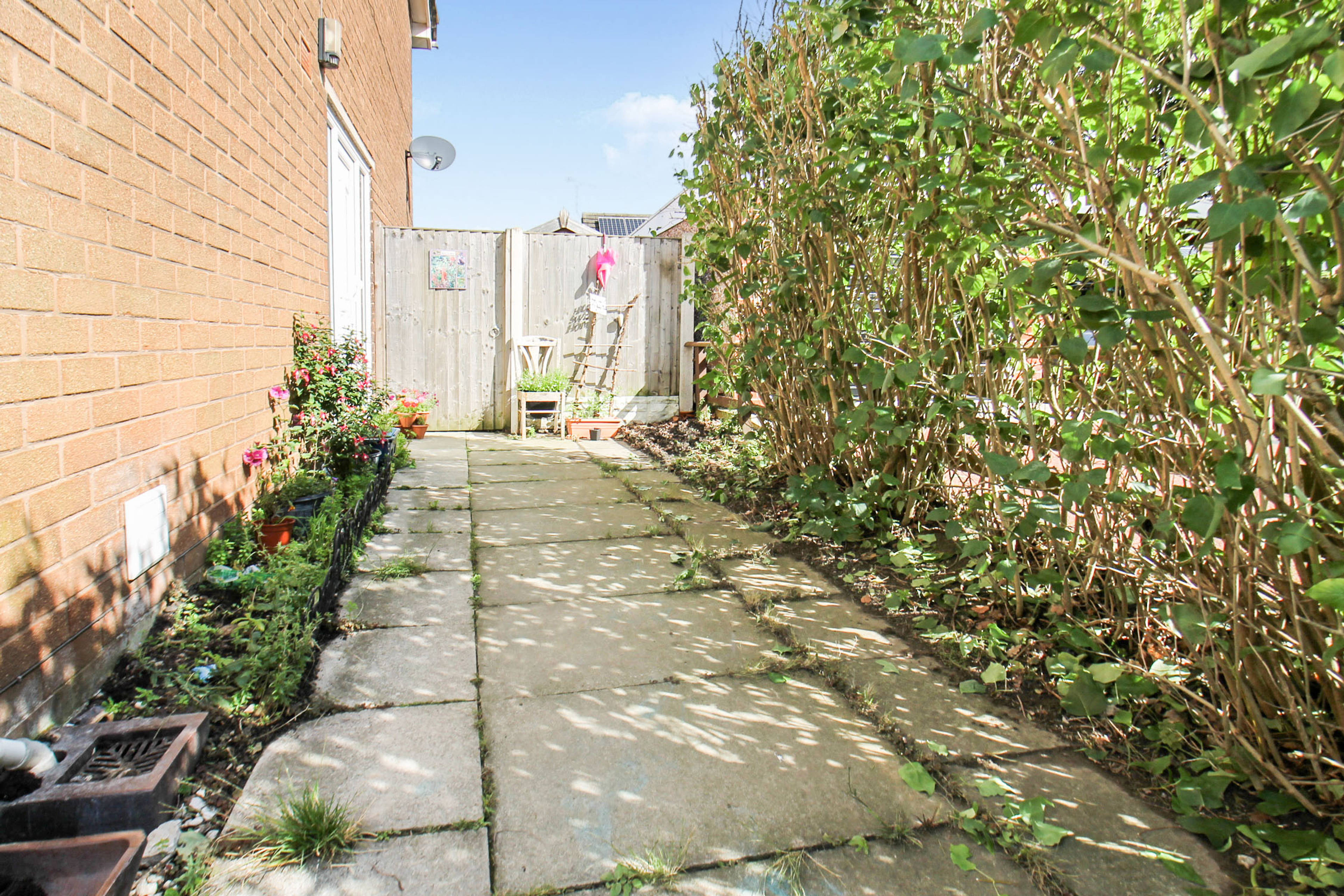 Side Garden