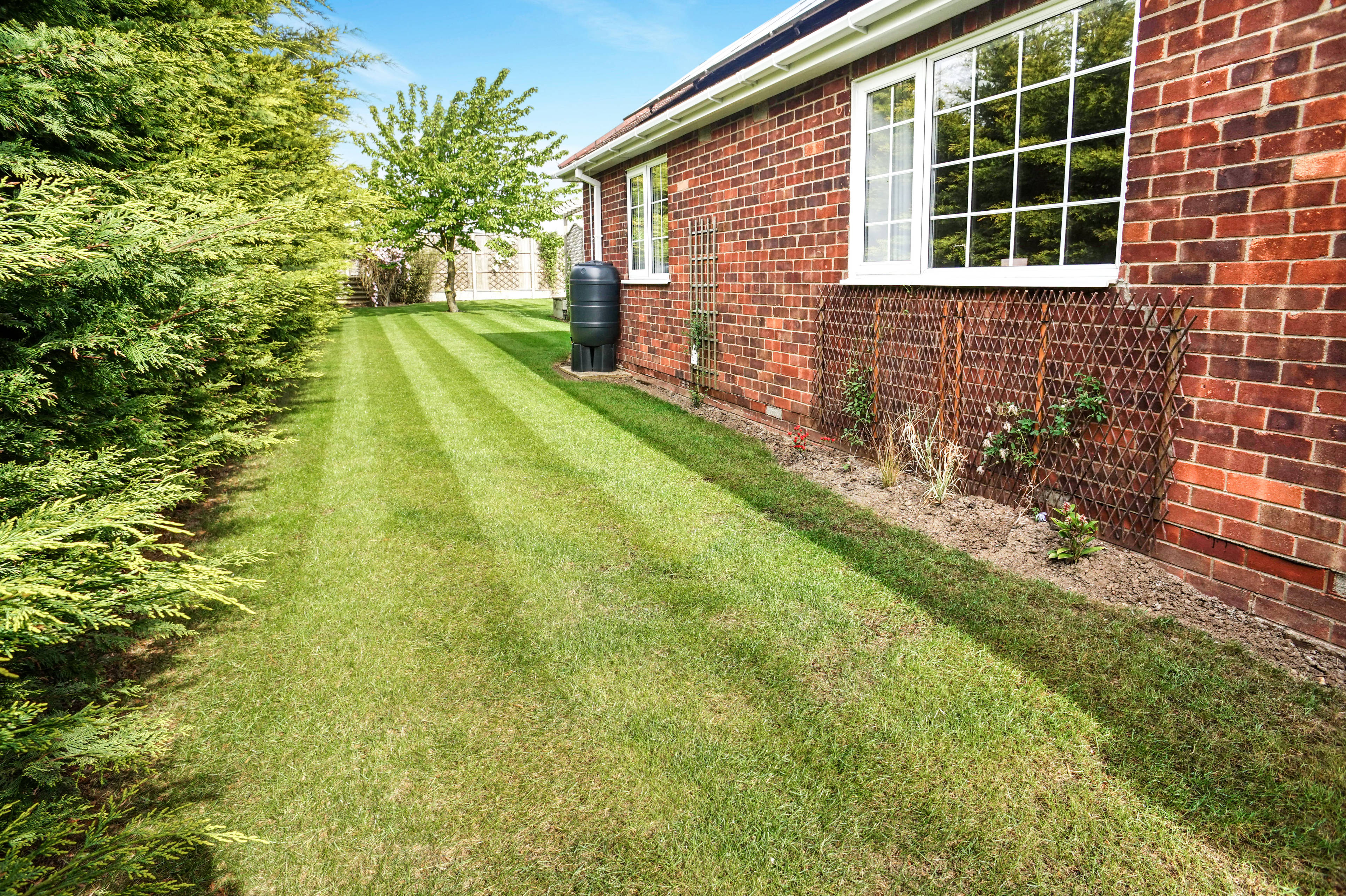 Side Garden