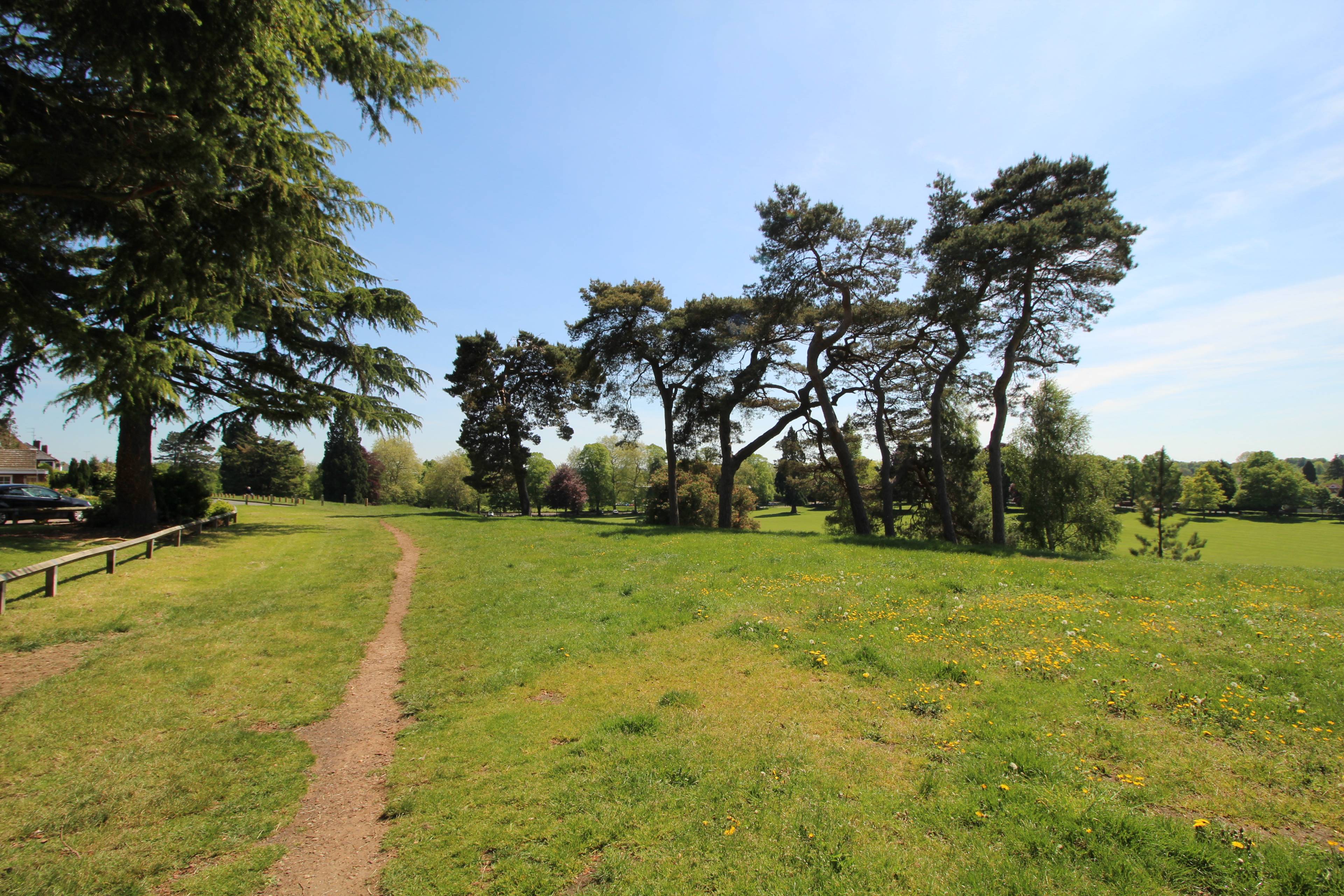 The Park